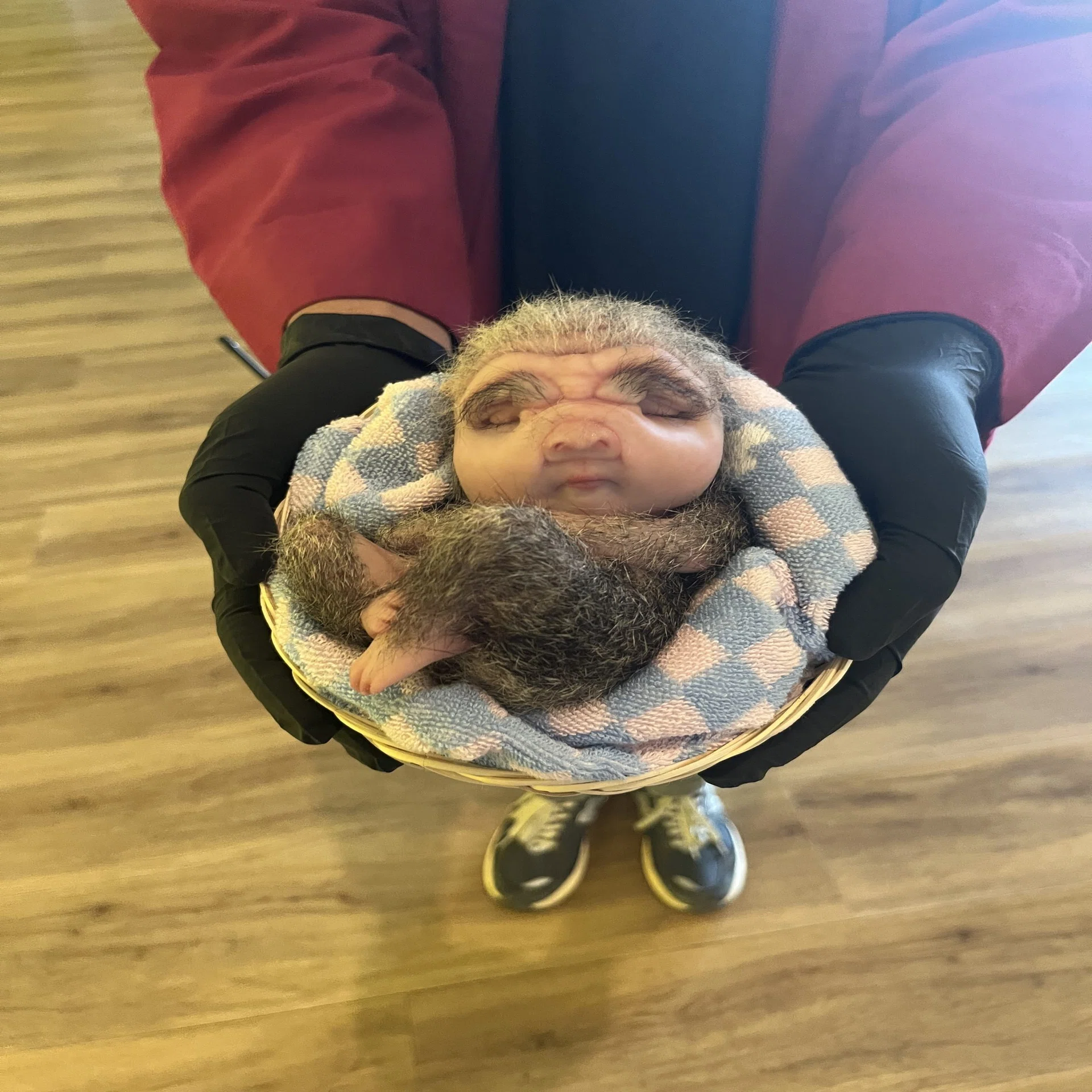 Jakarta Art] : Patricia Piccinini: CARE｜mzk : ジャカルタのアート 