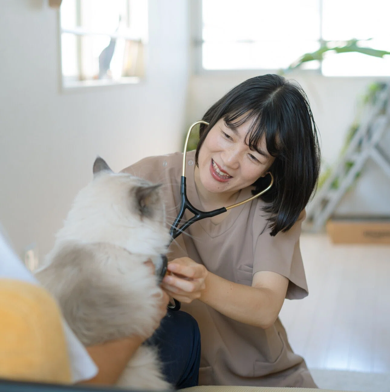 予防から看取りまで。」往診で叶える、わんちゃん猫ちゃんとそのご家族