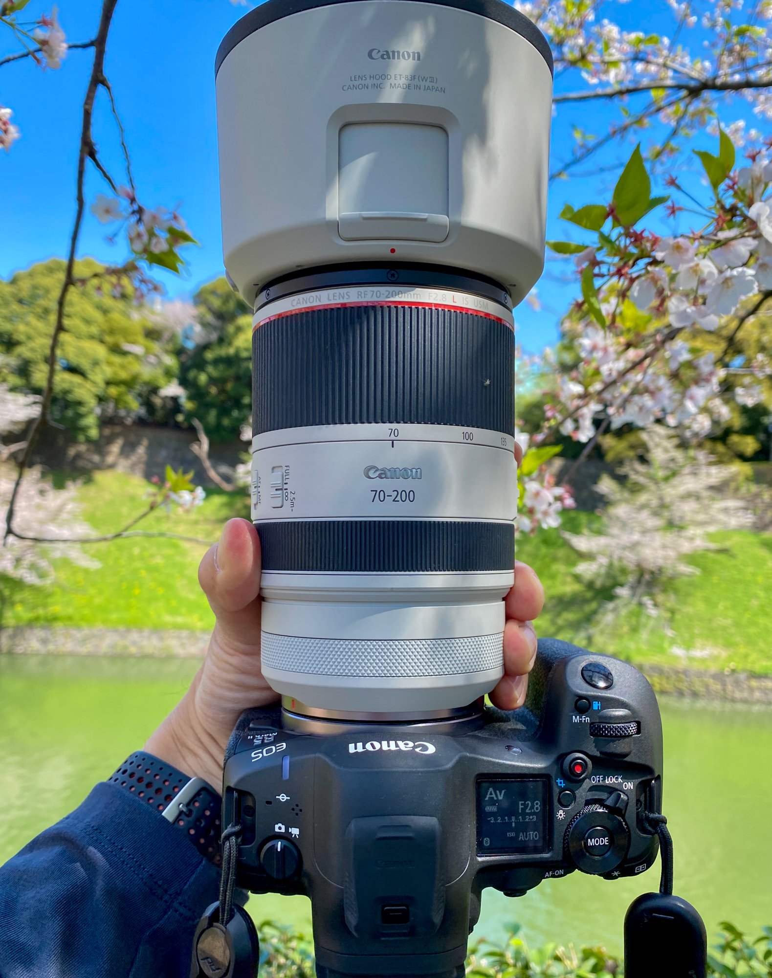 桜〜RF70-200mm F2.8 L IS USM #2125｜RURI