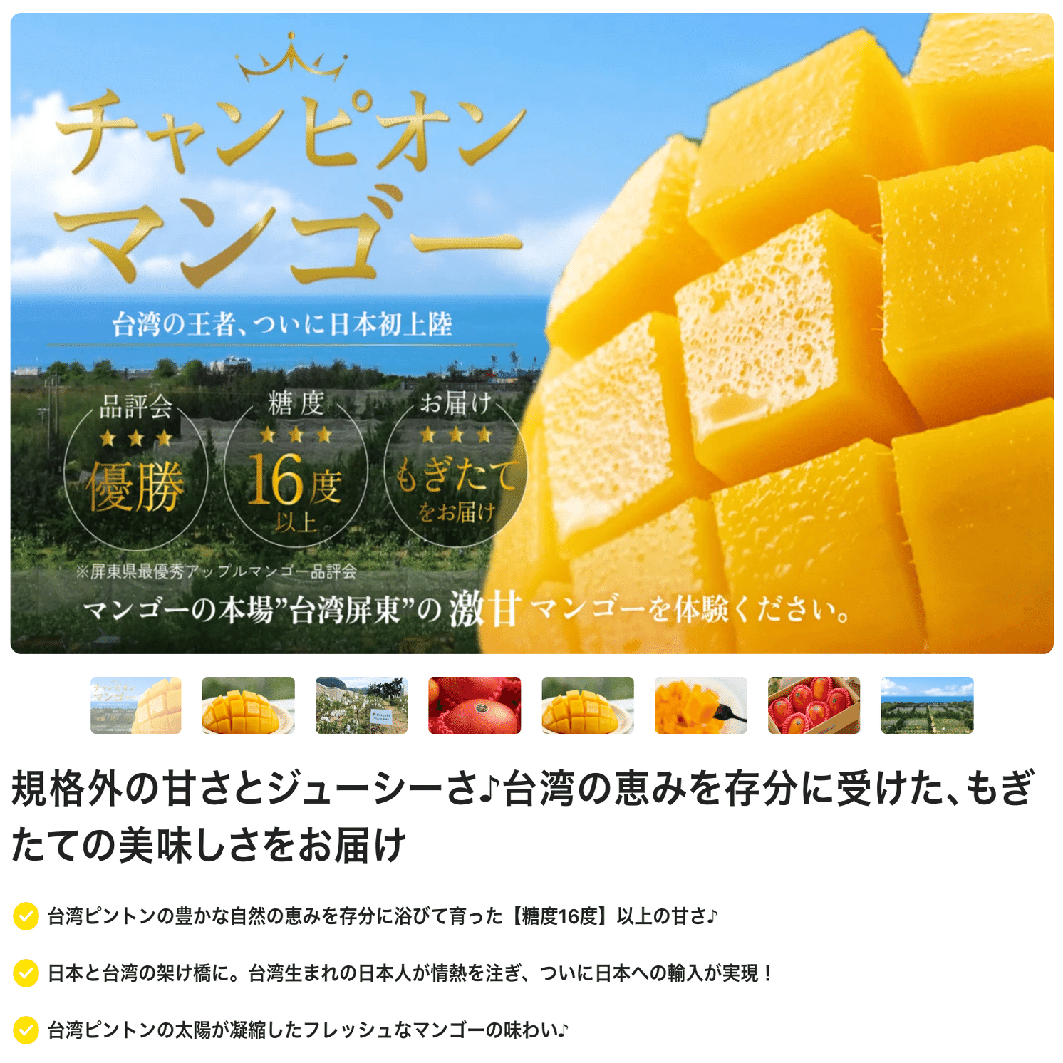 2025年台湾マンゴー大不作｜チャンピオンマンゴー by 台湾ピントン産