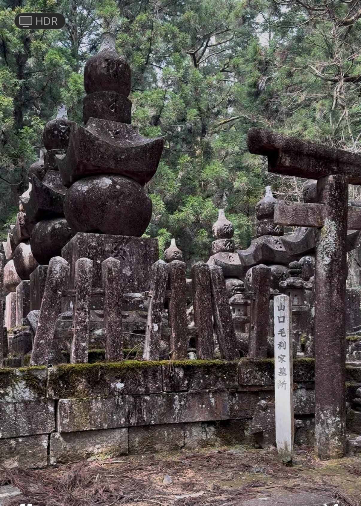 番外・一人旅の記録（高野山）後編｜nama