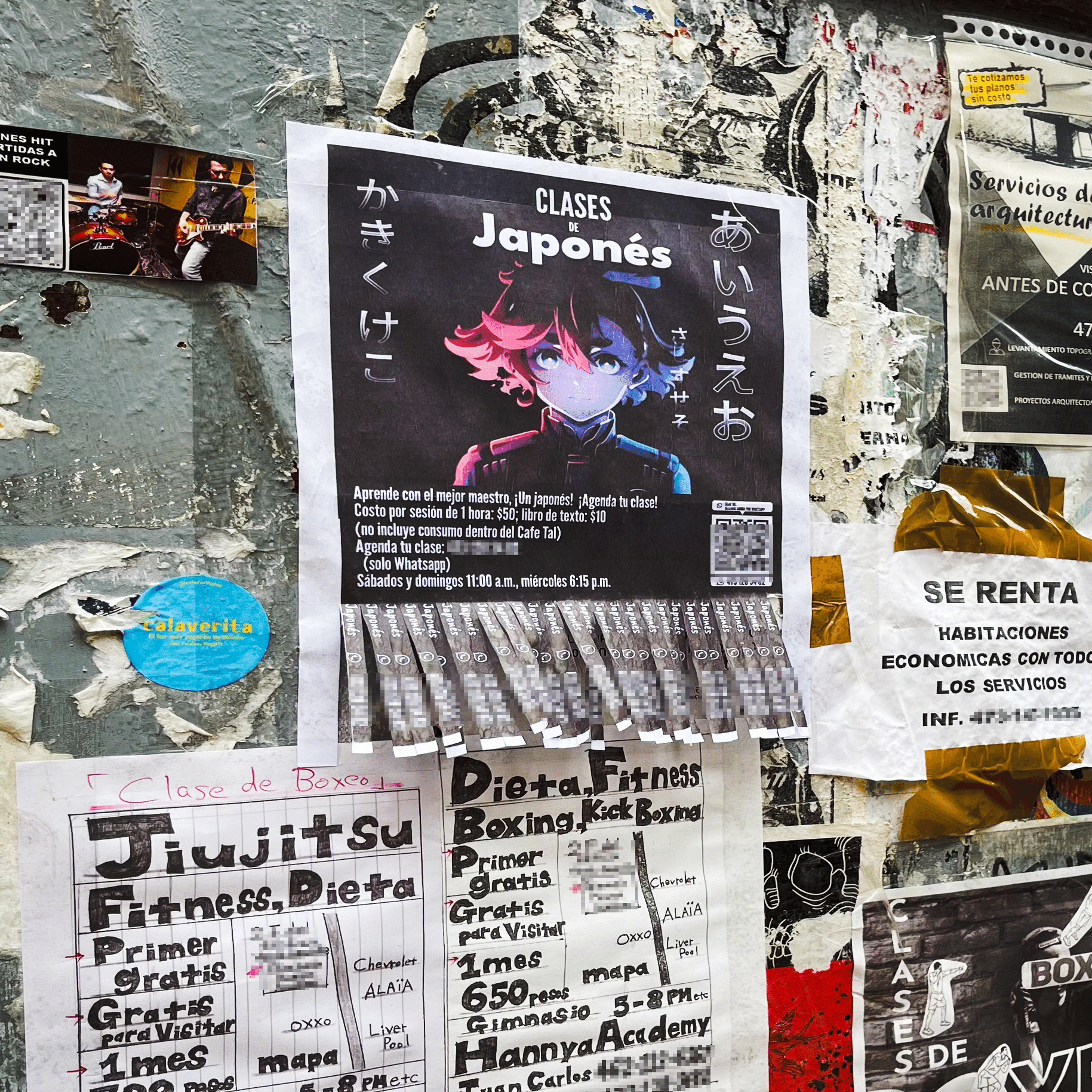 グアナフアト & 新譜「α CLOCK MUSIC COLLECTION」リリース秘話｜浜渦