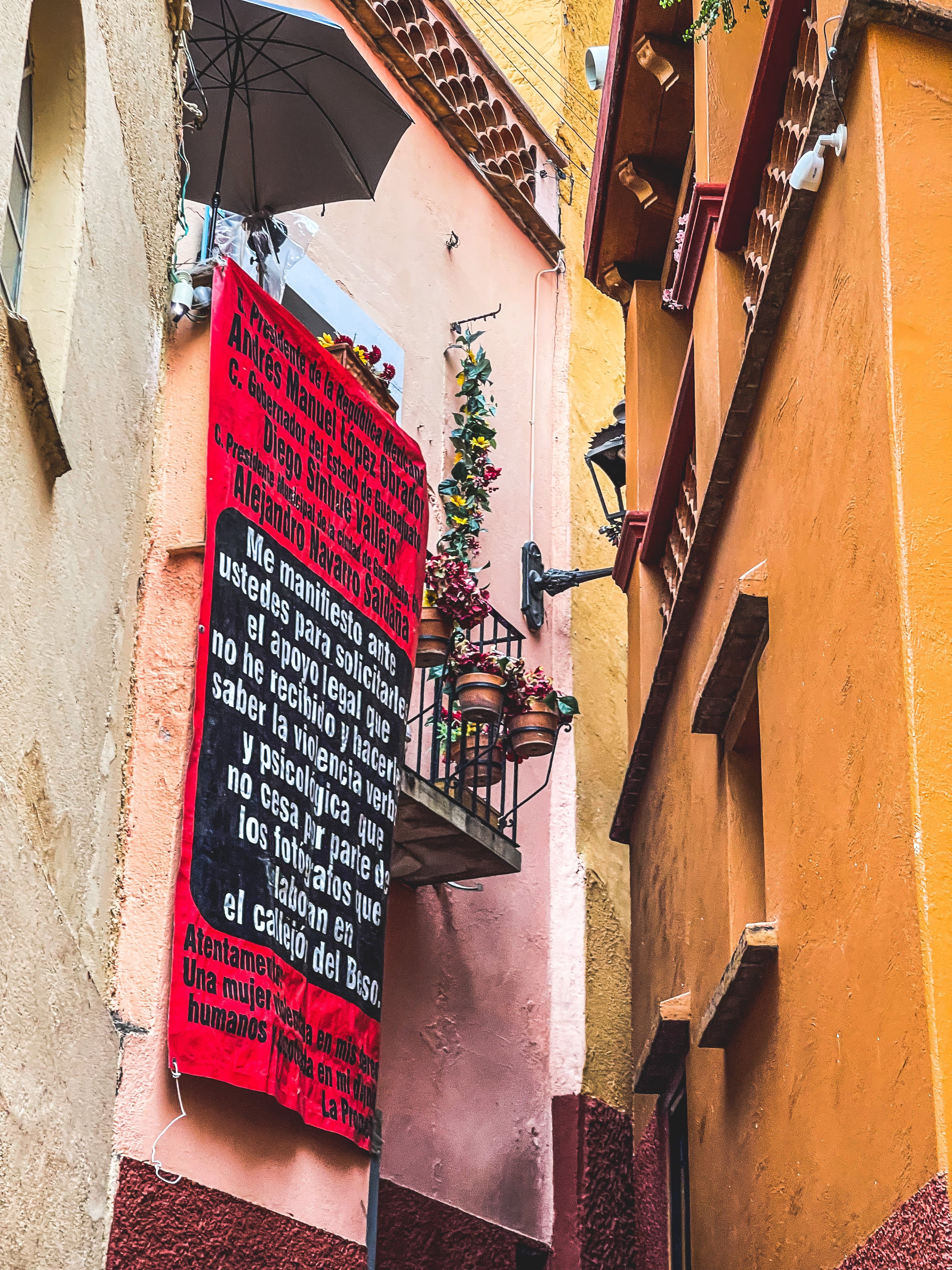 グアナフアト & 新譜「α CLOCK MUSIC COLLECTION」リリース秘話｜浜渦