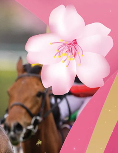 【★超目玉】 2025桜花賞ポスター｜日本サイン競馬会 コレクション