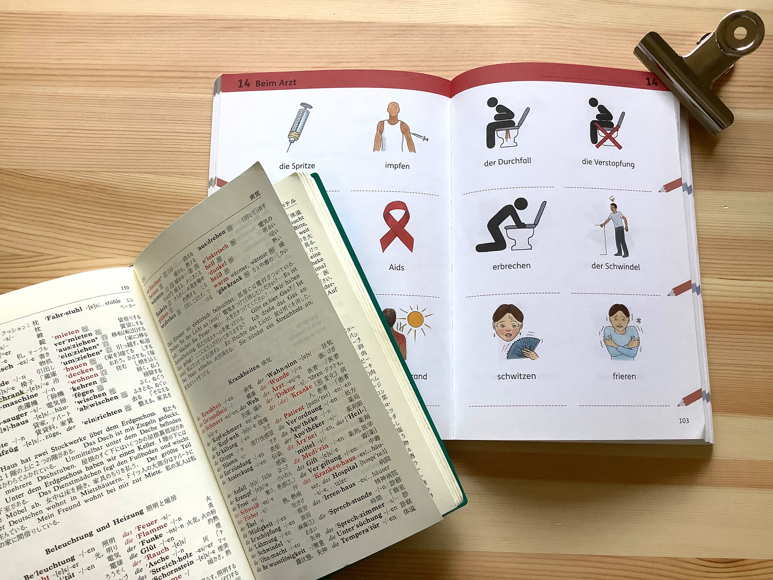 ドイツ語辞書] 思い入れある独独辞典とおすすめ単語集など｜語学参考書