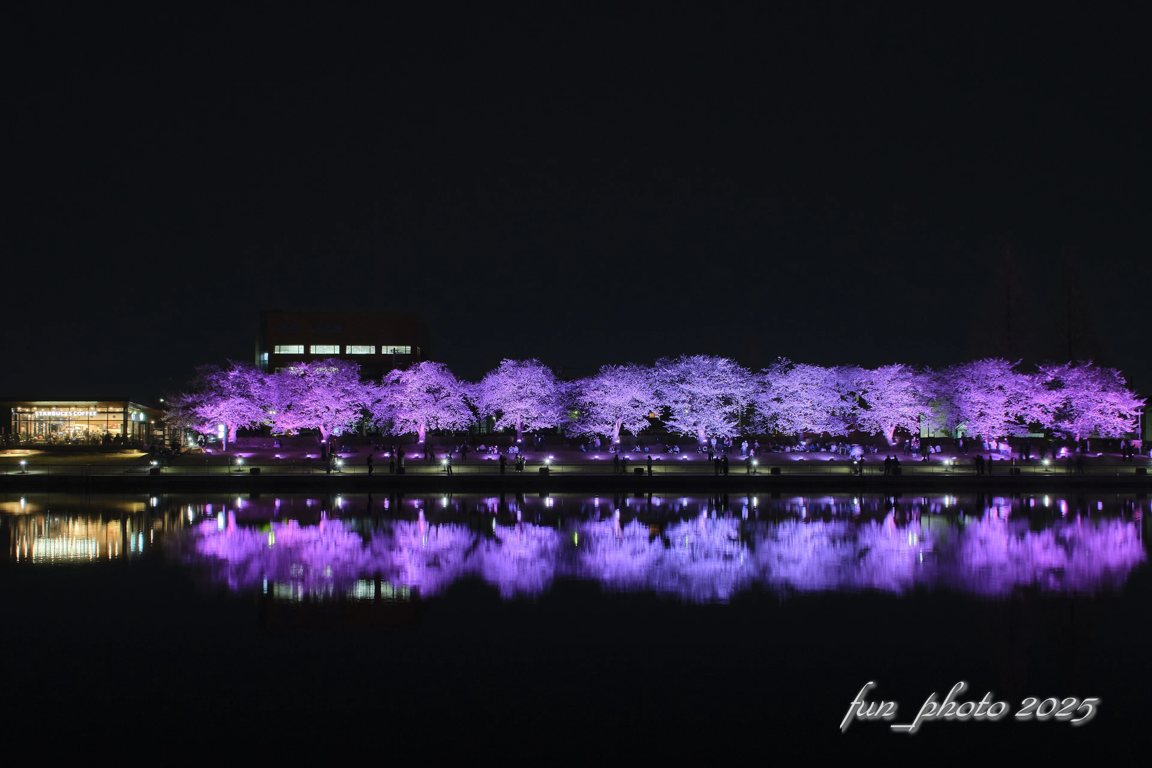 FIJIFILM X-T5 SIGMA18-50mm F2.8 DC DN Contemporary と 桜 ➁｜fun_photo