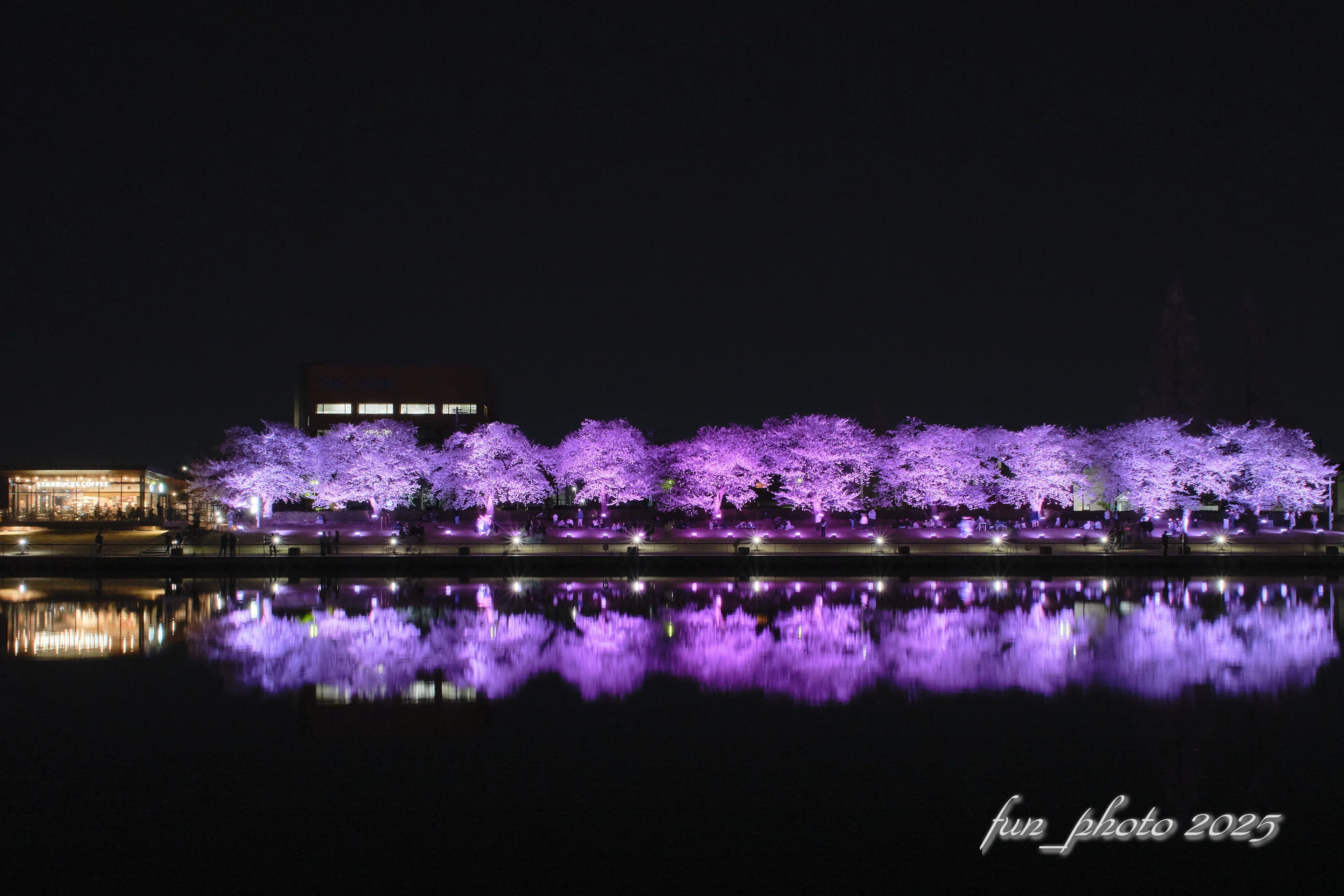 FIJIFILM X-T5 SIGMA18-50mm F2.8 DC DN Contemporary と 桜 ➁｜fun_photo