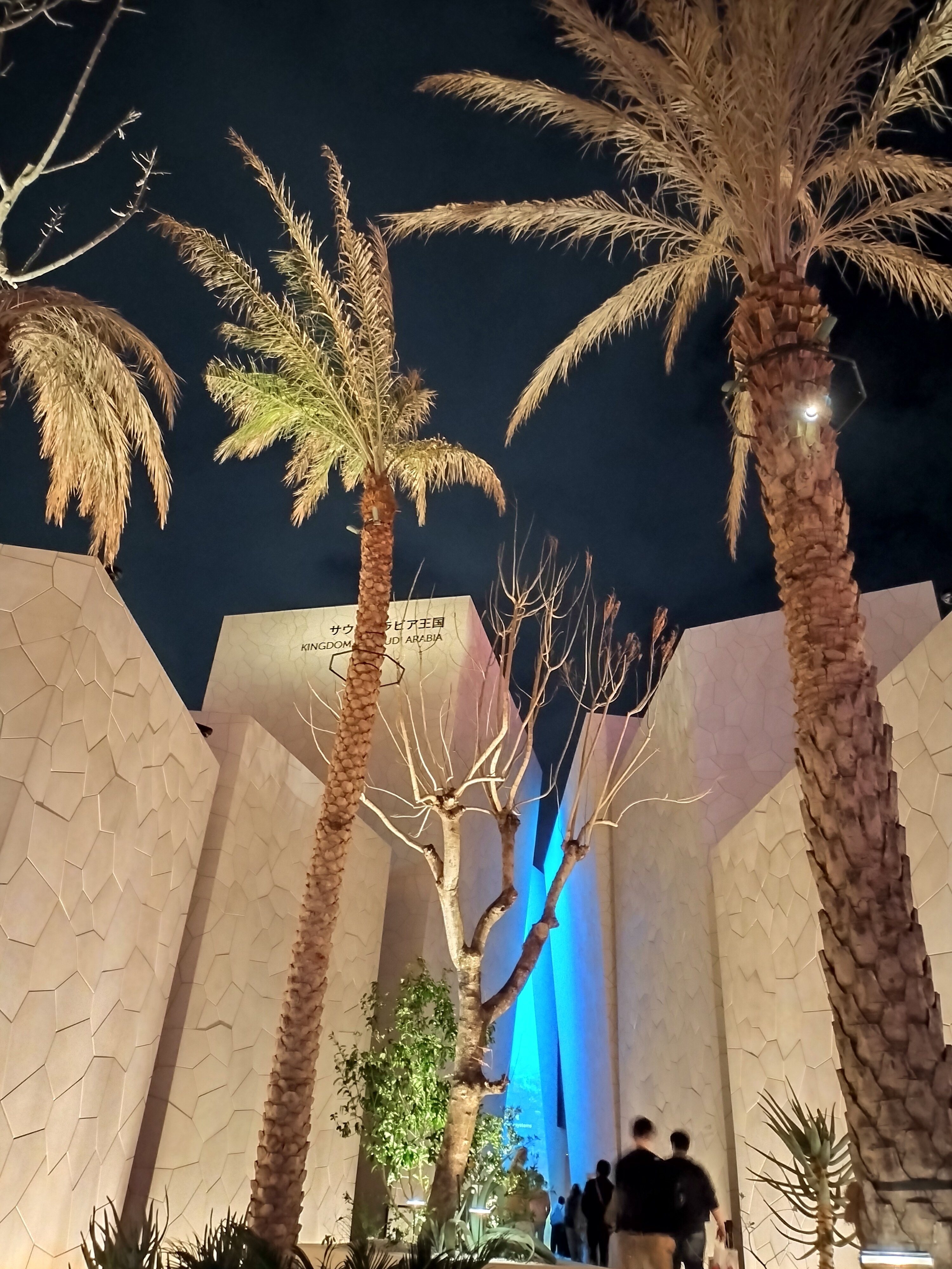 万博】3日前予約争奪戦とサウジアラビア｜梅の実ちゃん