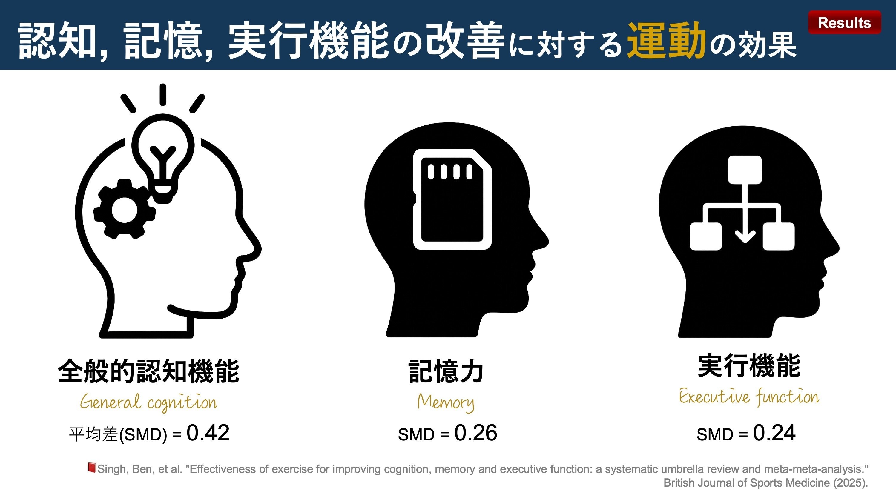 運動脳の証明。認知、記憶、実行機能の改善効果|Super Human 運動脳の証明。認知、記憶、実行機能の改善効果|Super Human