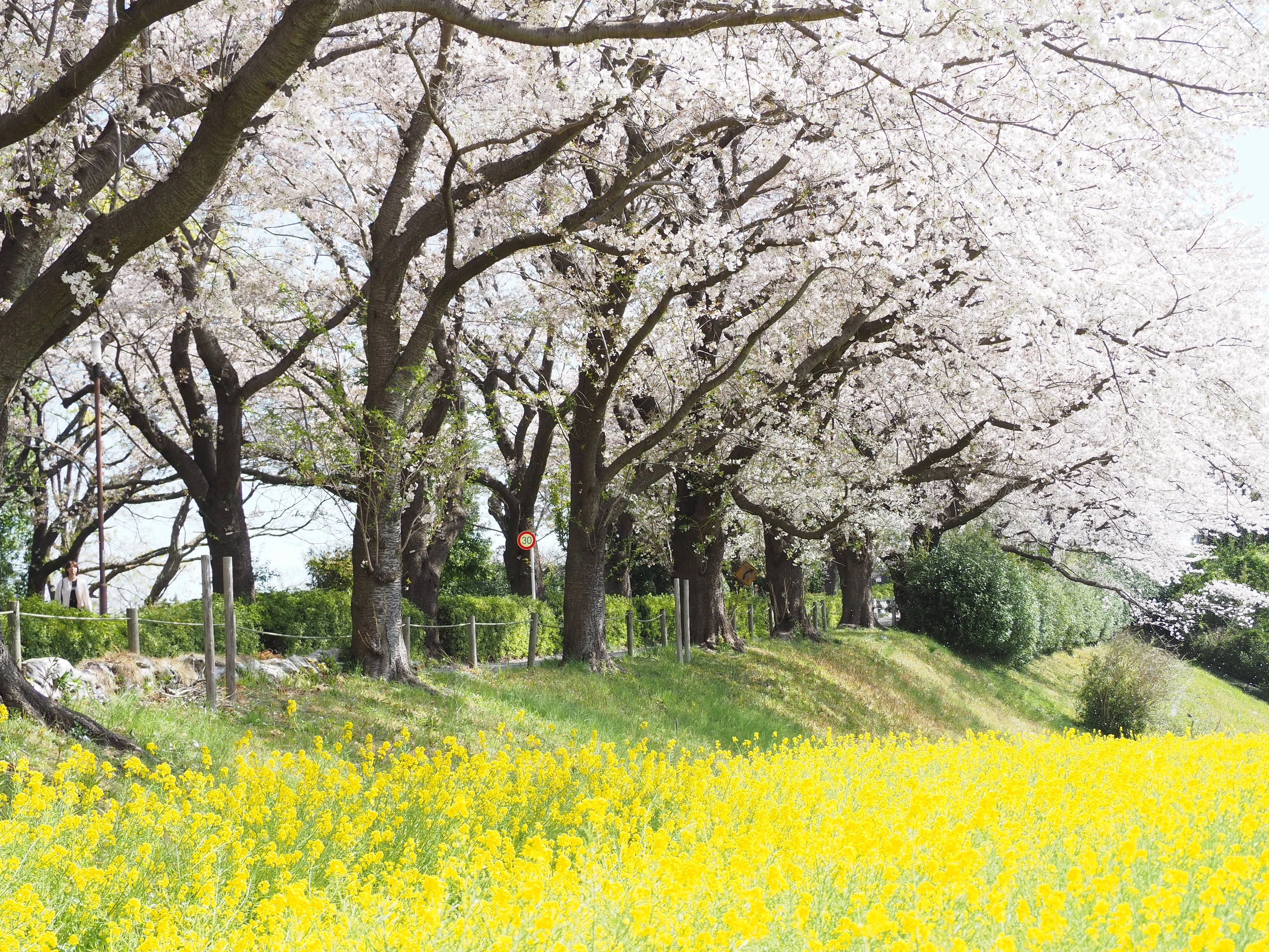 写真を撮るとき、僕は無心になれる（おはよう！そのべ第52回）｜そのべ
