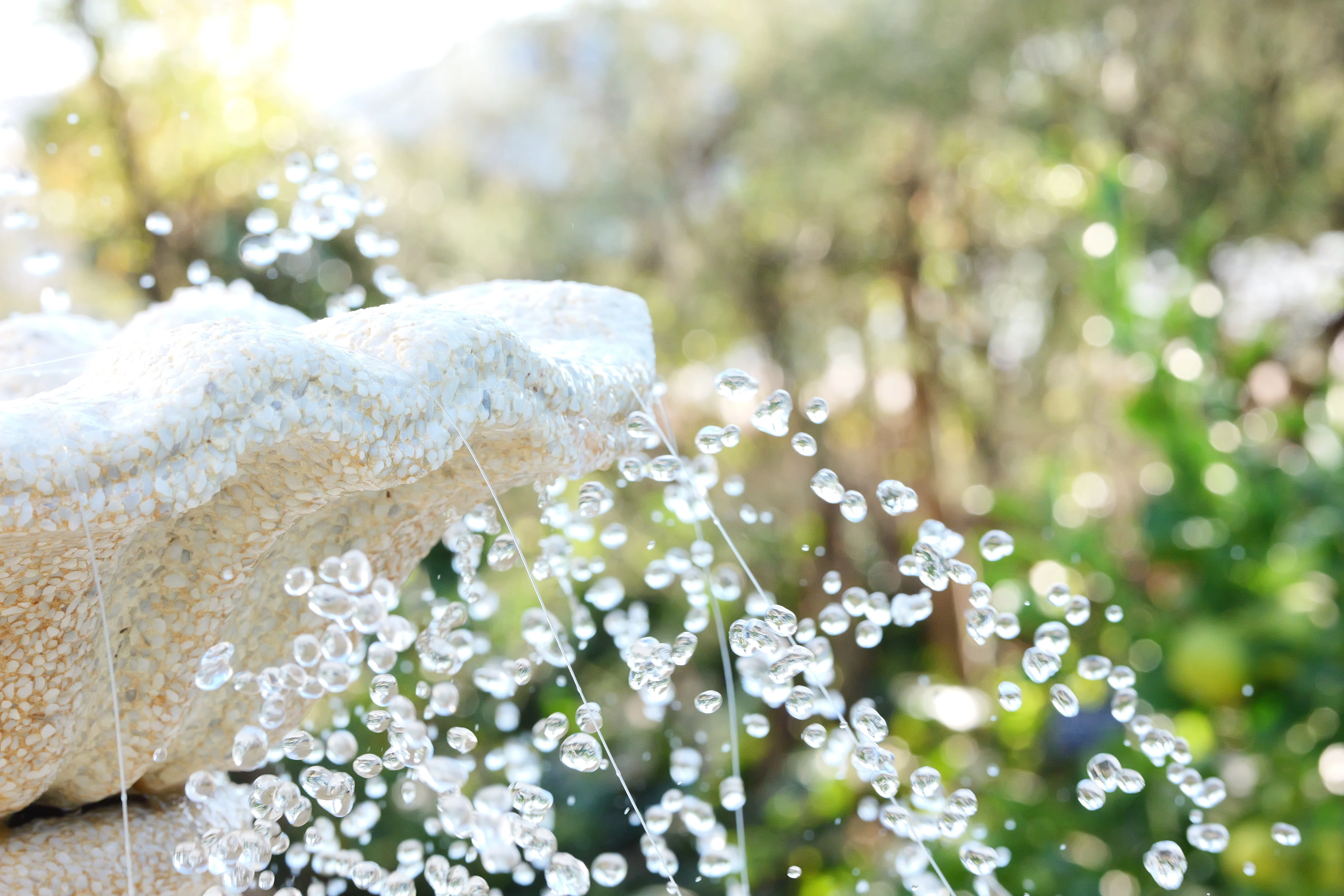 LUMIX S 100mm F2.8 MACRO 【Photo Journey #12】｜LUMIX Lens Letters