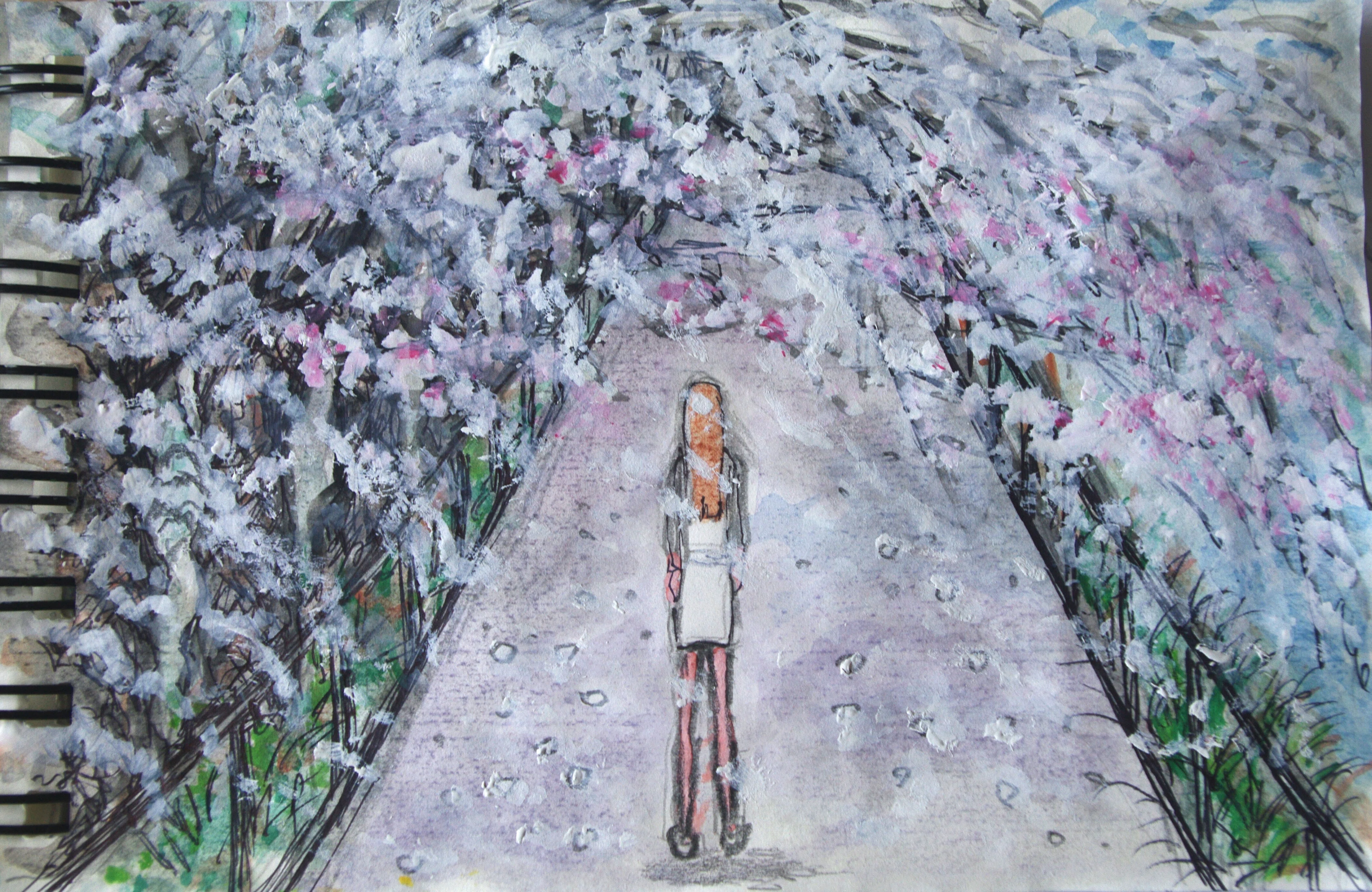 桜吹雪｜マシュー・カサイ