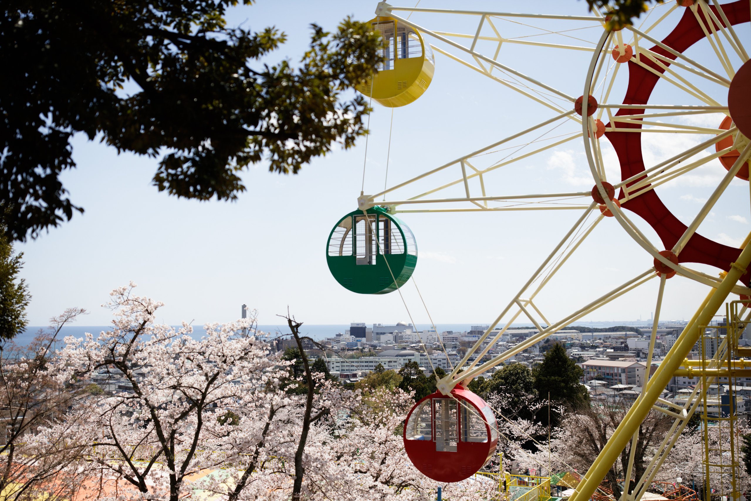 桜日和：ひとりで観覧車に乗った日｜kimura noriaki