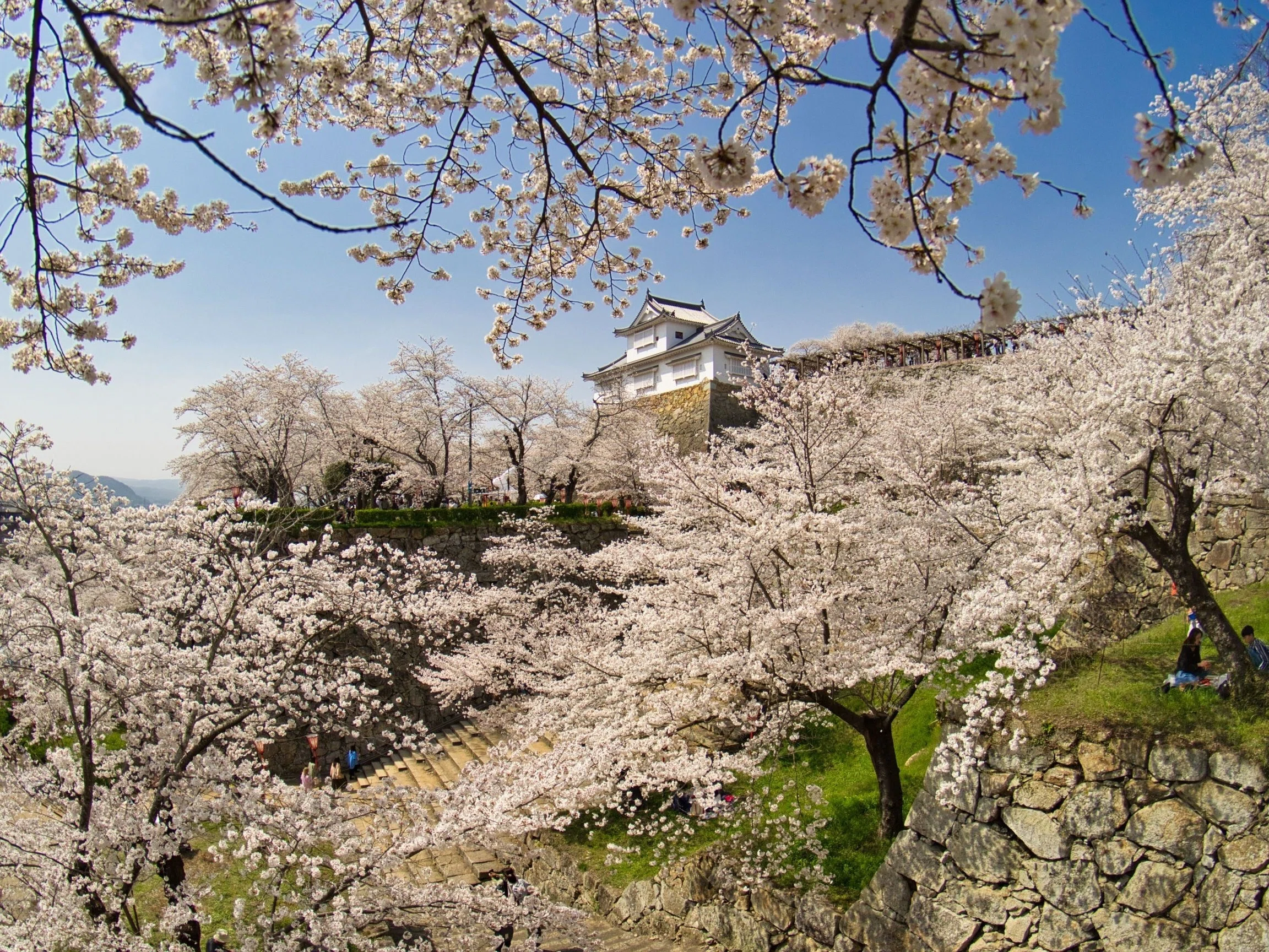 津山城（岡山県津山市）の登城の前に知っておきたい歴史・地理・文化