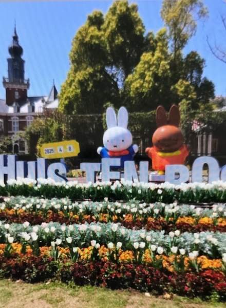 ハウステンボス　ミッフィーチューリップ畑 絵になるハウステンボス 】 チューリップとミッフィーと
