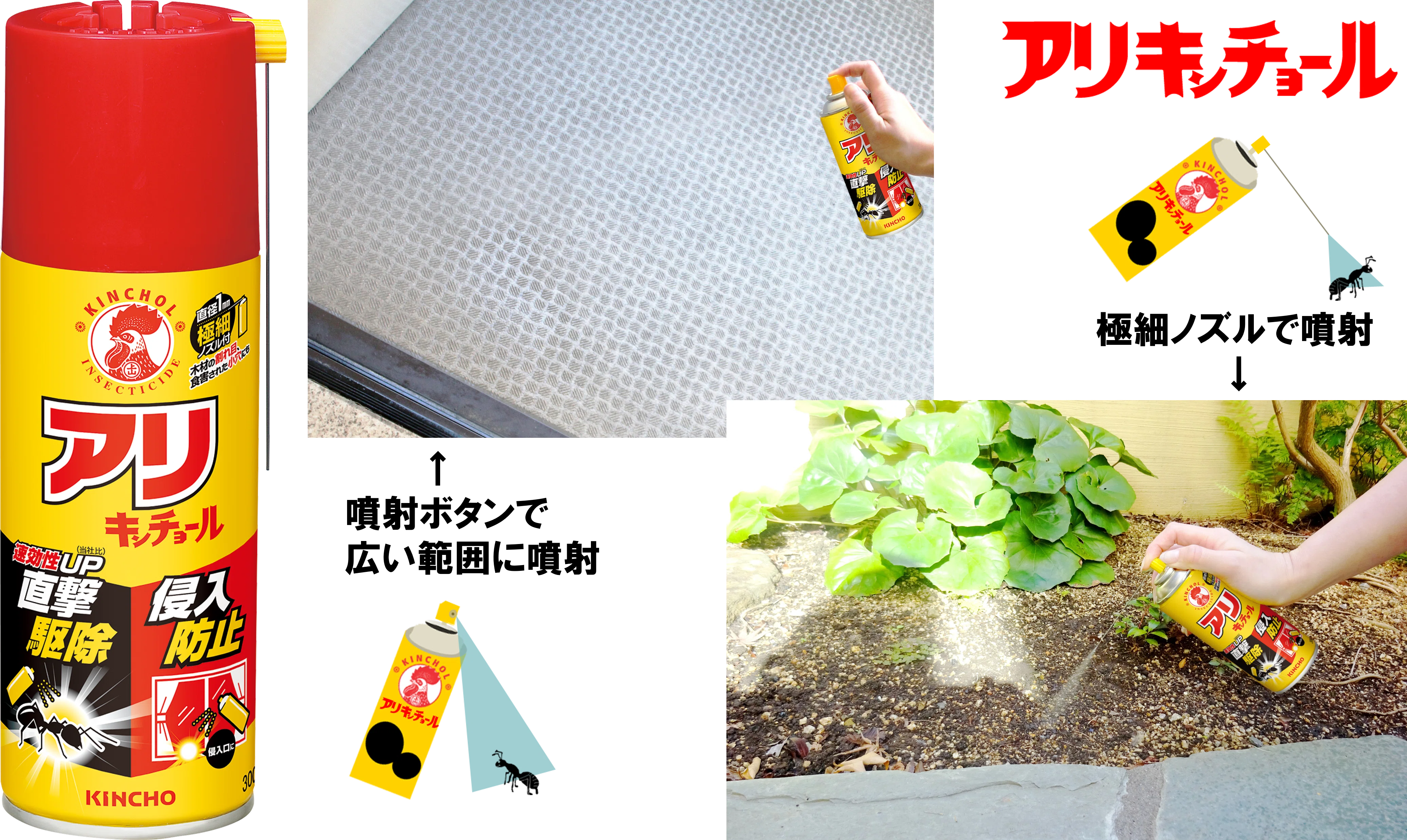 アリ ～大家族の、したたかな生態。駆除と対策について。｜KINCHO公式