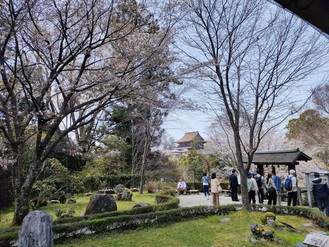 吉野山の桜、金峯山寺（きんぷせんじ）と修験道のこと｜渡辺（読書/散歩）