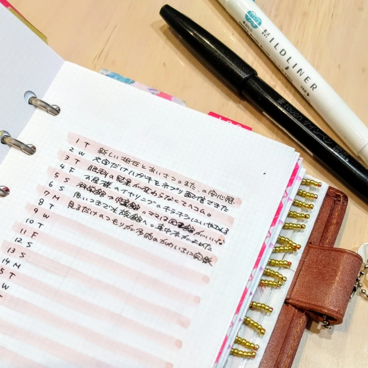 1日20字で振り返る私の毎日｜ちーさん✎手帳を書く人