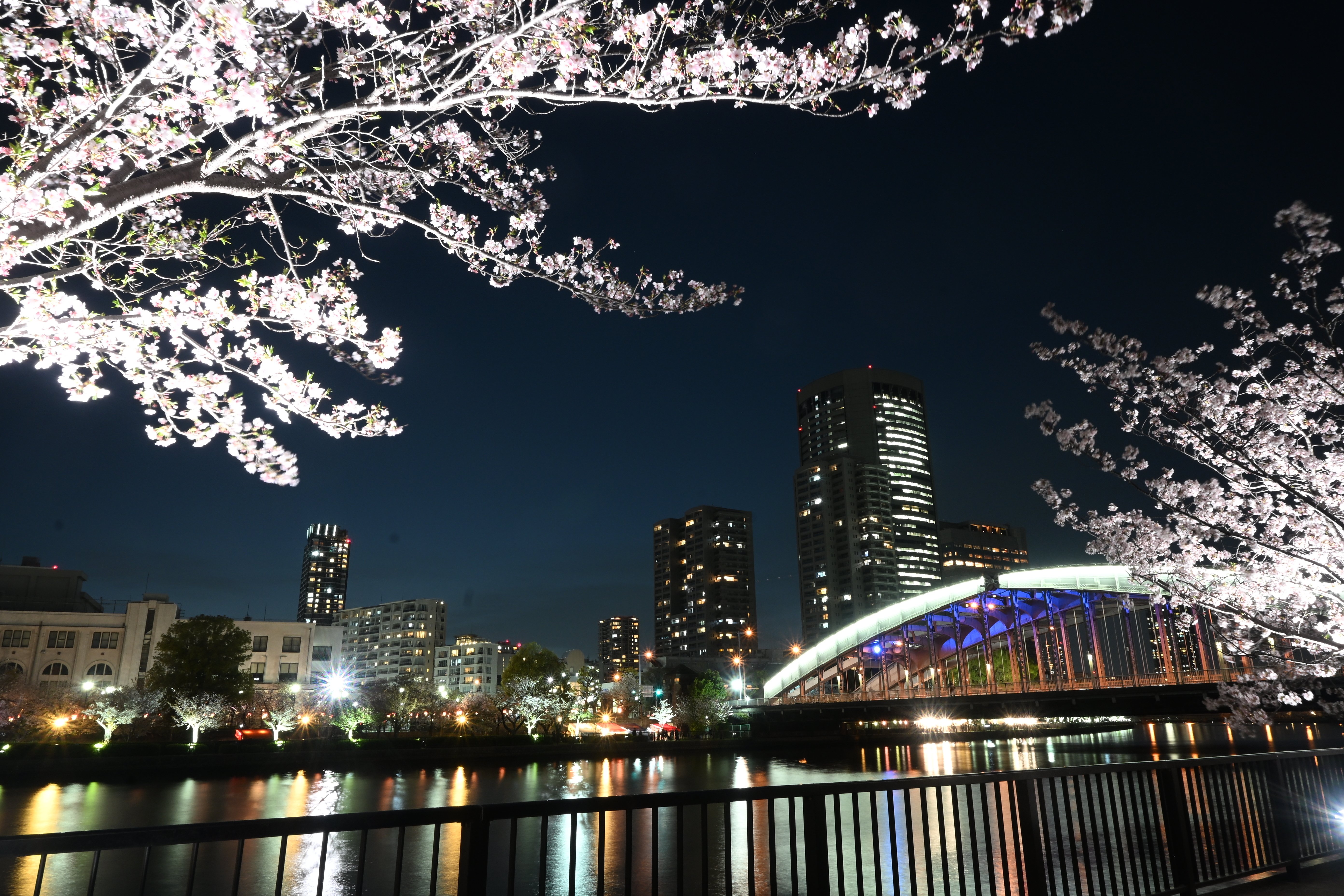 kouki | Saitama🌸 何枚目がすき？ Which one do you like