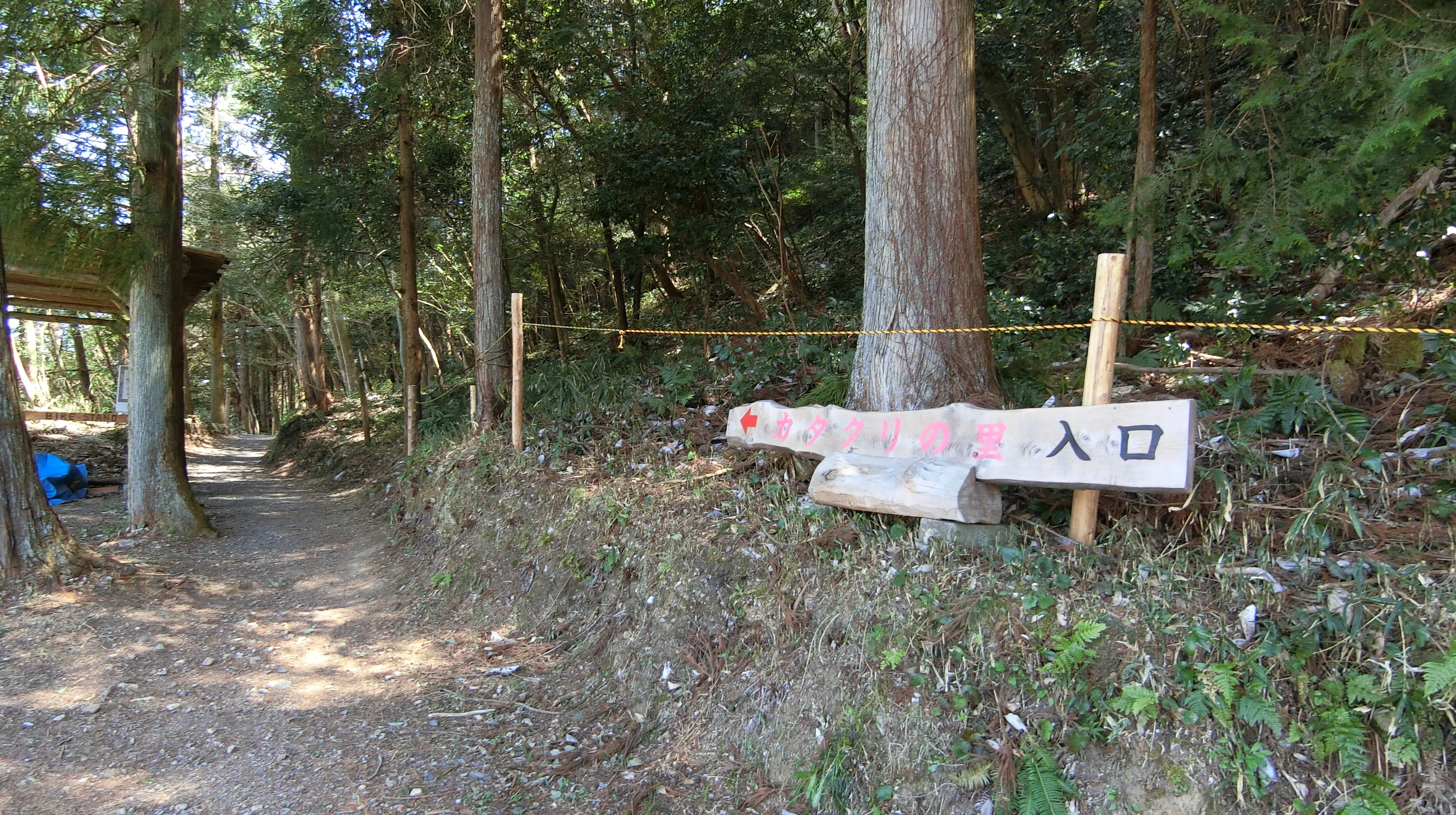 ギフチョウ飛び交うカタクリの群生地 保木山カタクリの里(岐阜県関市