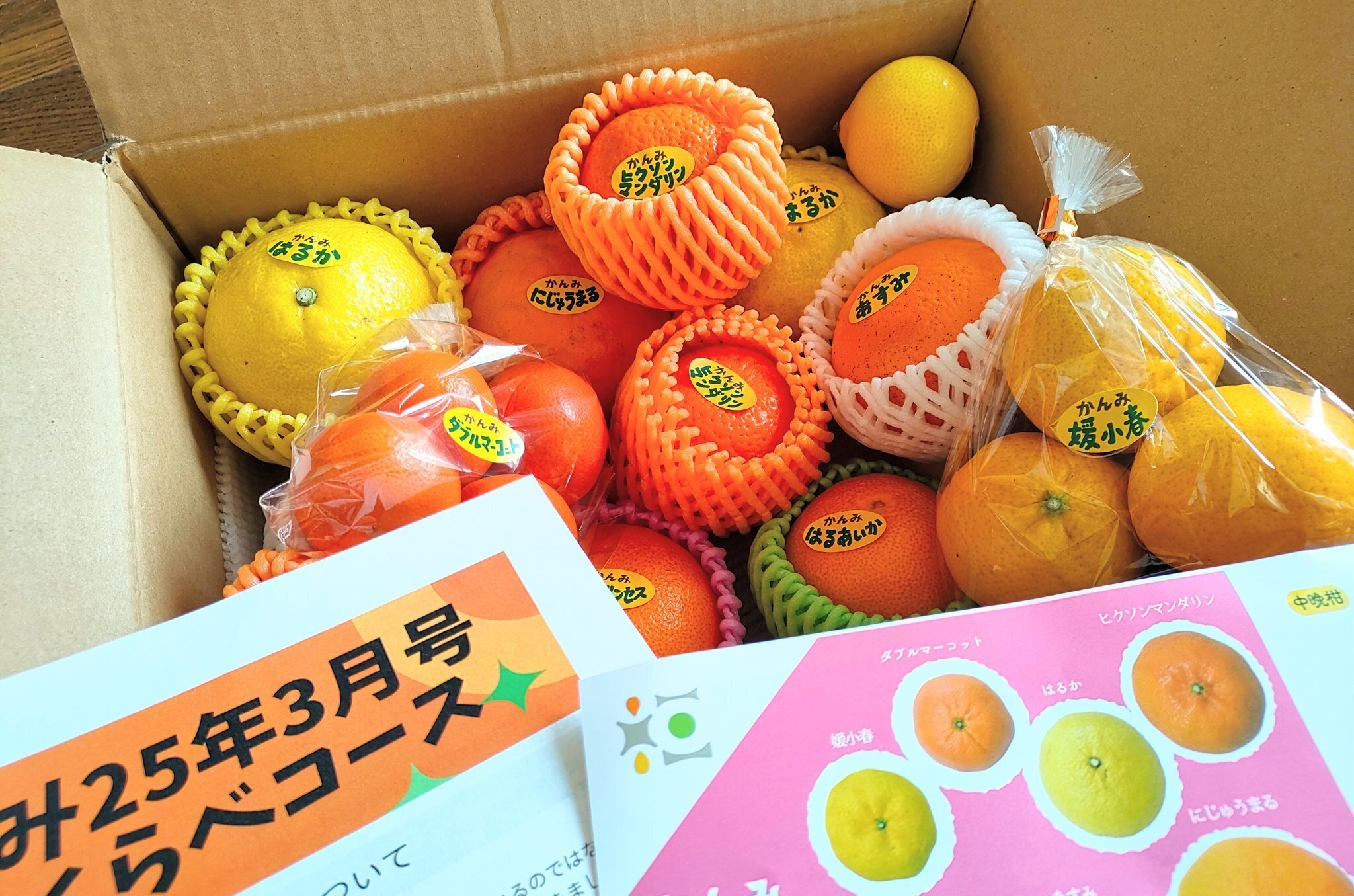柑橘のサブスク かんみ】3月号｜みな