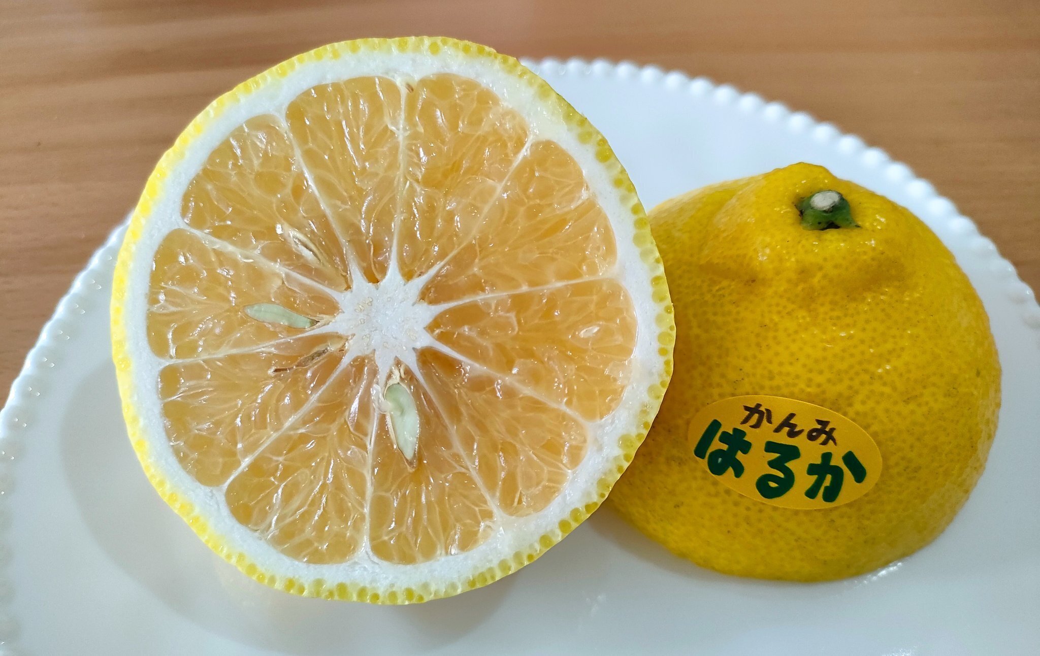 柑橘のサブスク かんみ】3月号｜みな