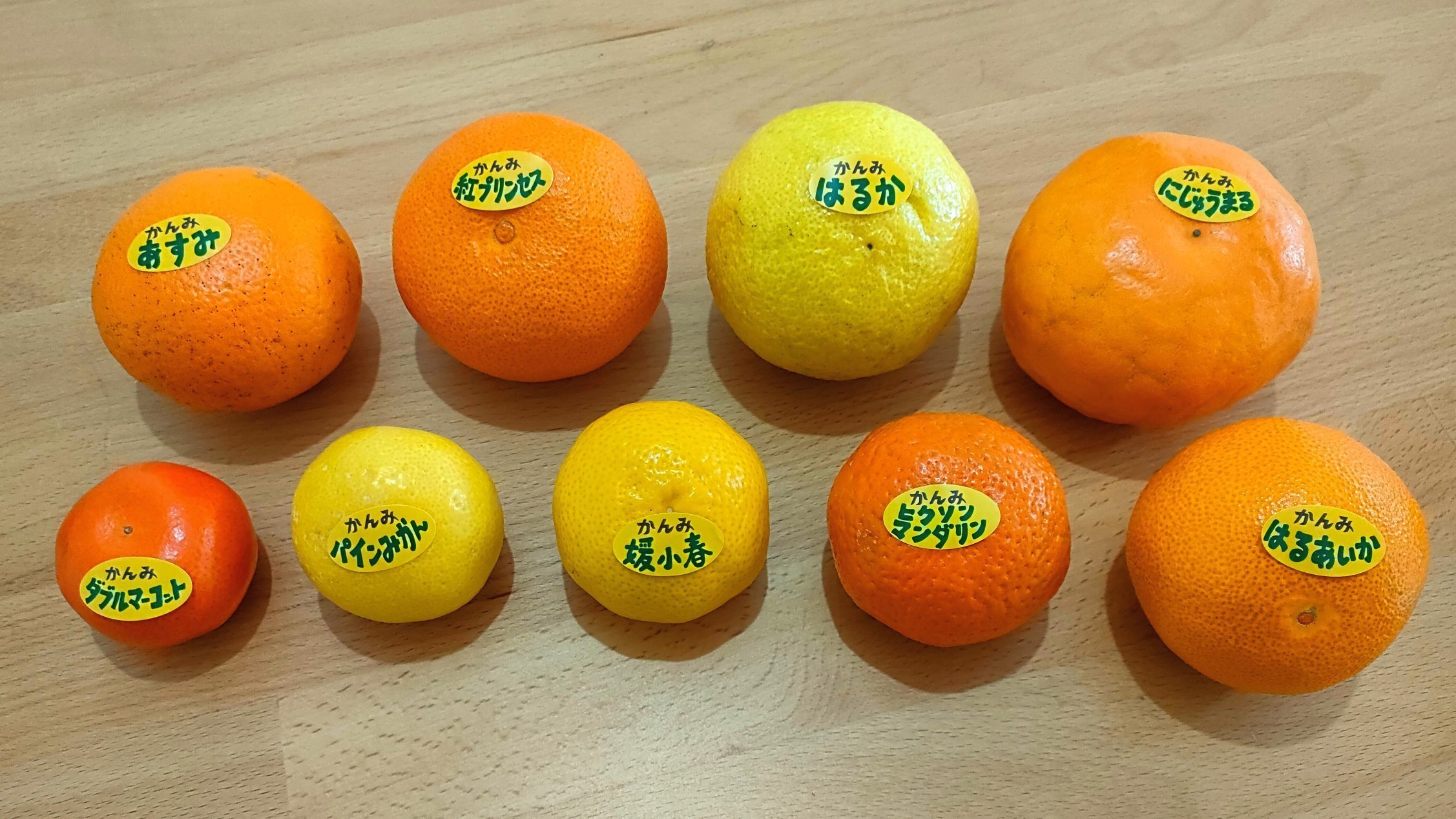 柑橘のサブスク かんみ】3月号｜みな