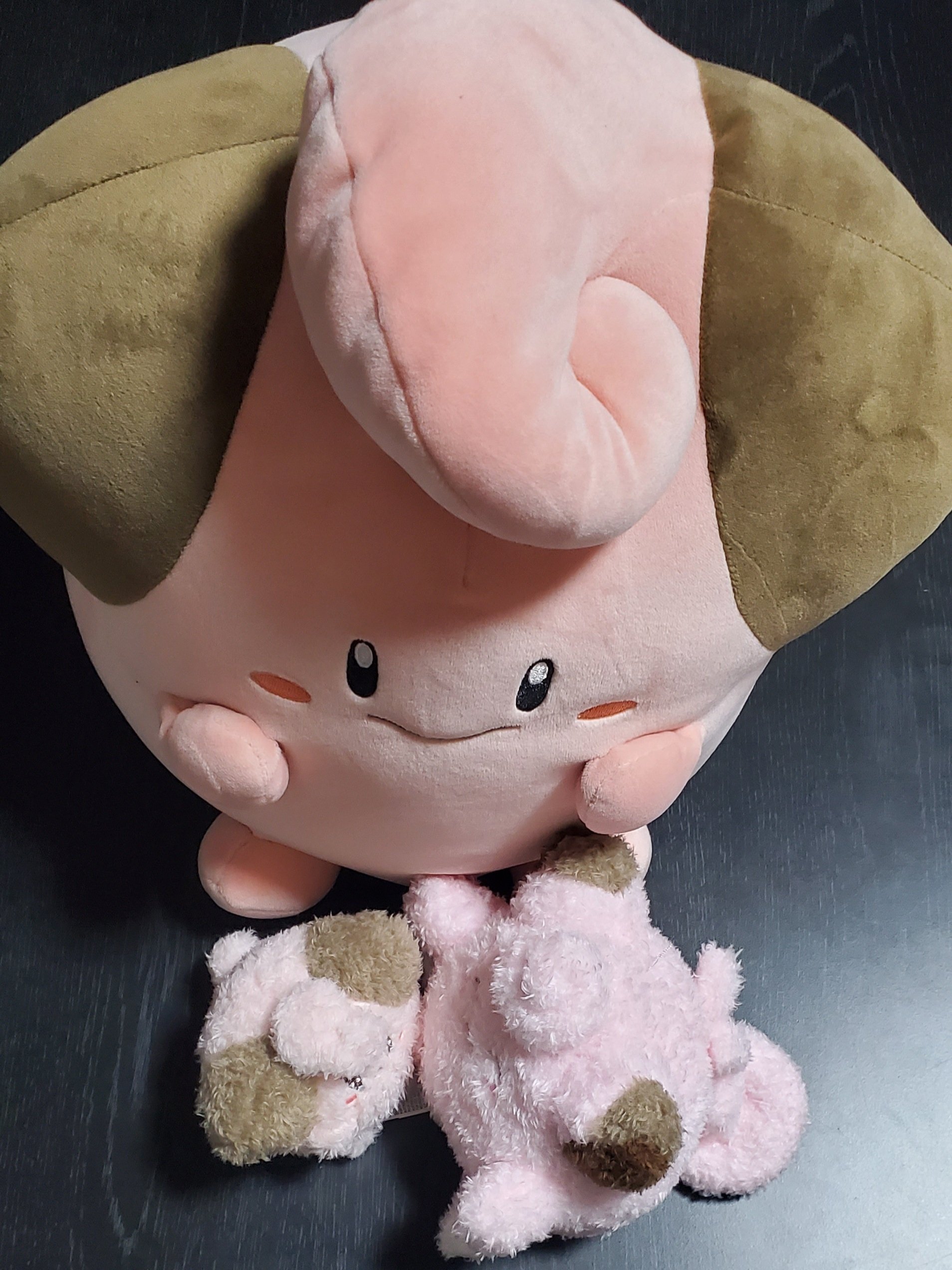 ポケモン　ぶるぶる　むぎゅ！　ぬいぐるみ　４種 ぶるぶる…むぎゅ！ぬいぐるみ」が、ポケモンセンターに登場