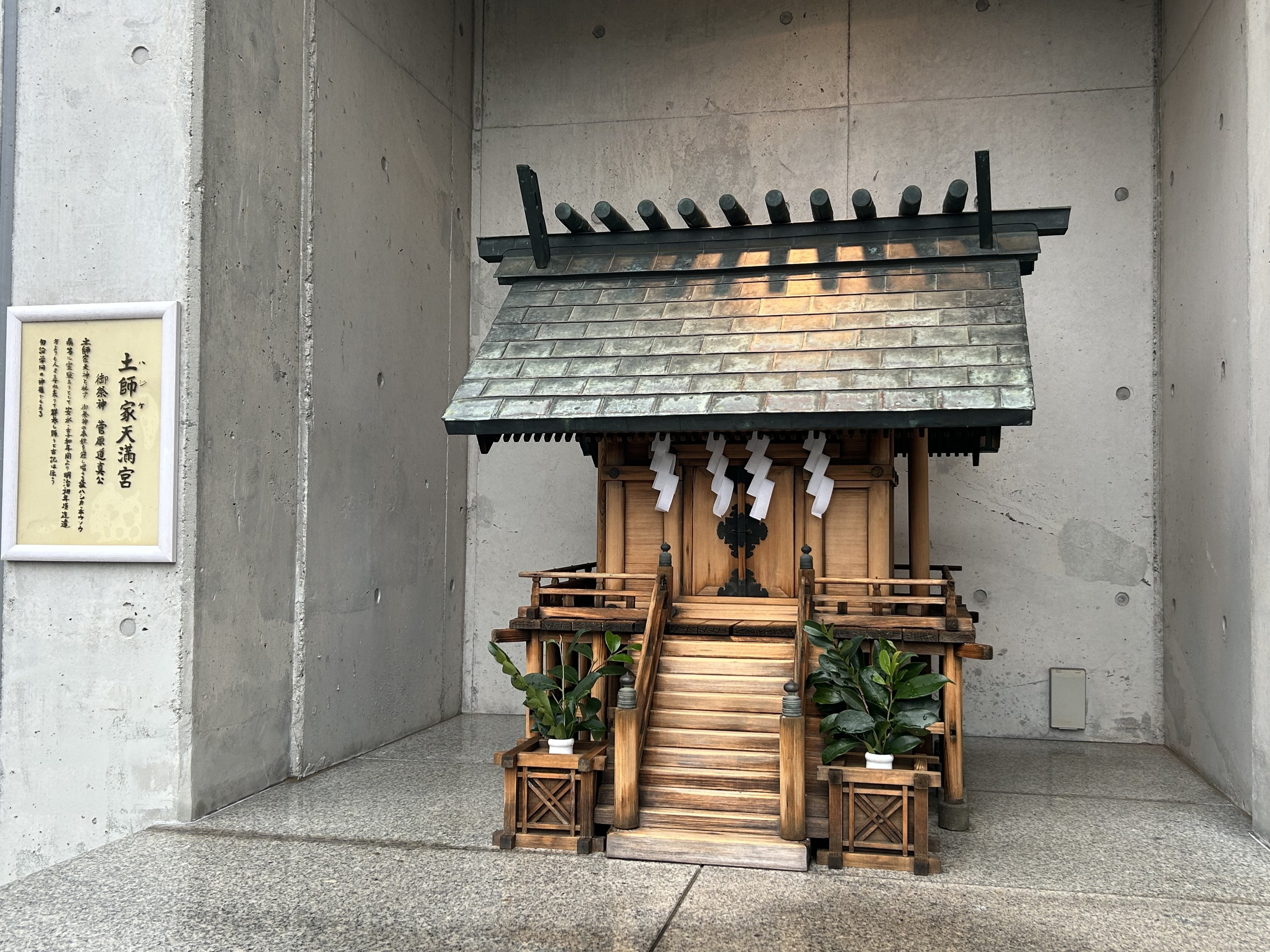 7/31まで❗️夏の感謝SALE❗️限定価格 【市杵島比売命からの御神託】弁財天✨ 公式】日向夏ポン酢で食べるとり天と親子そぼろ弁当 | お弁当メニュー