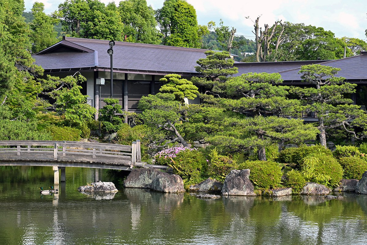 京都 平安神宮 神苑 -Heian Jingu Shrine Shin'en-｜enfoque