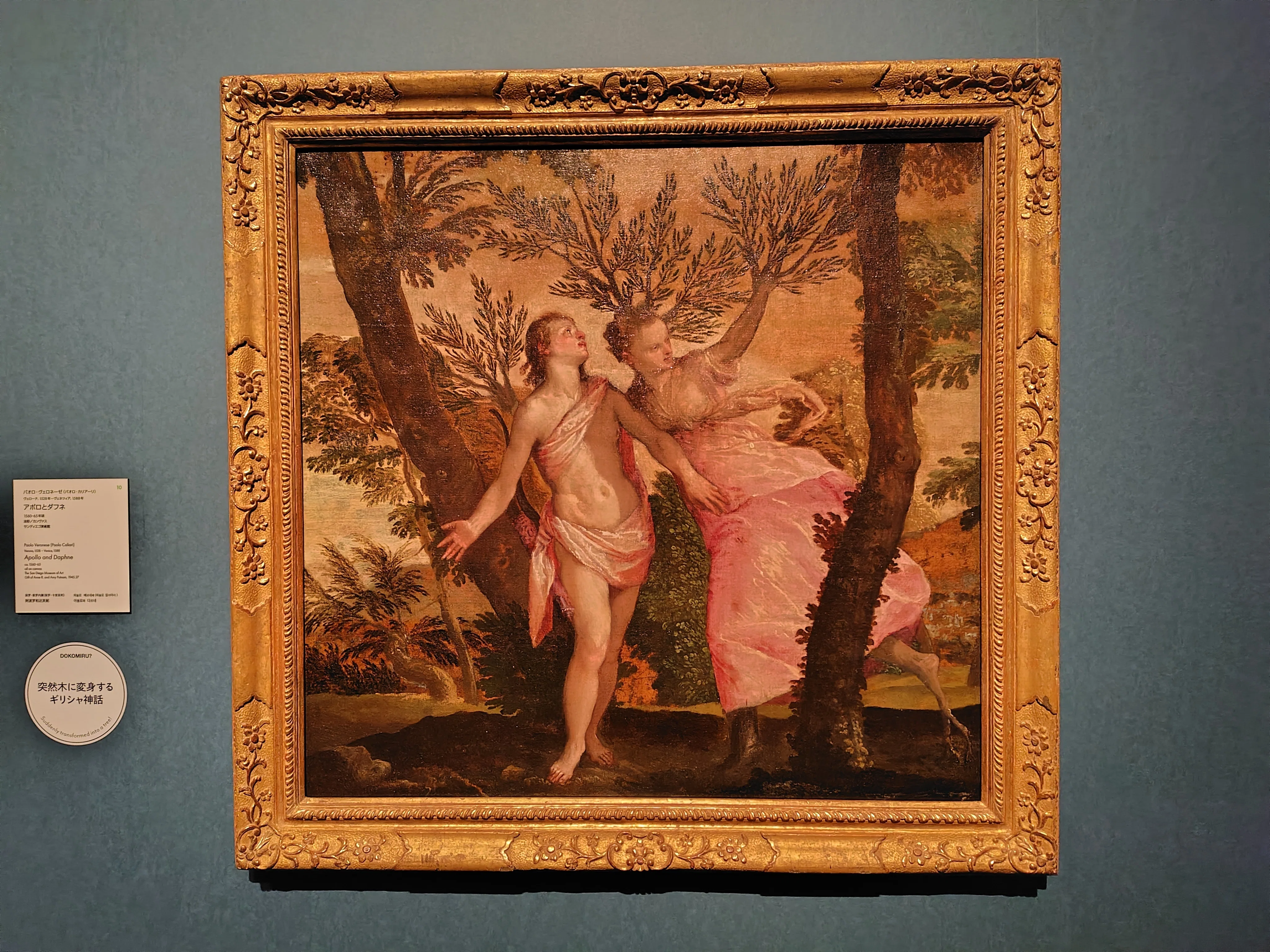 美術館】西洋絵画、どこから見るか？（国立西洋美術館）｜杜若