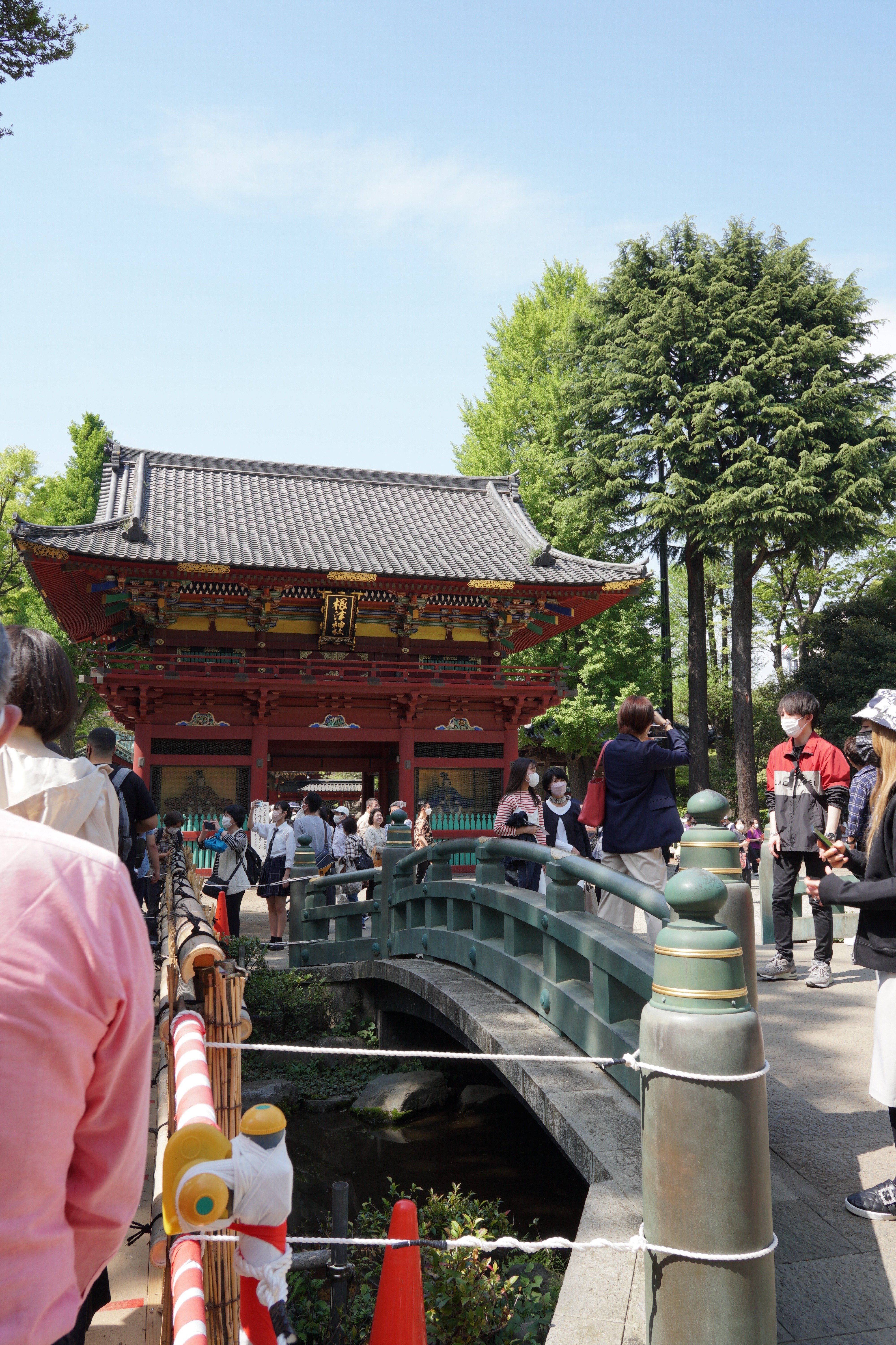 東京】つつじまつり！〜根津神社〜｜あべい｜カメラ一人旅