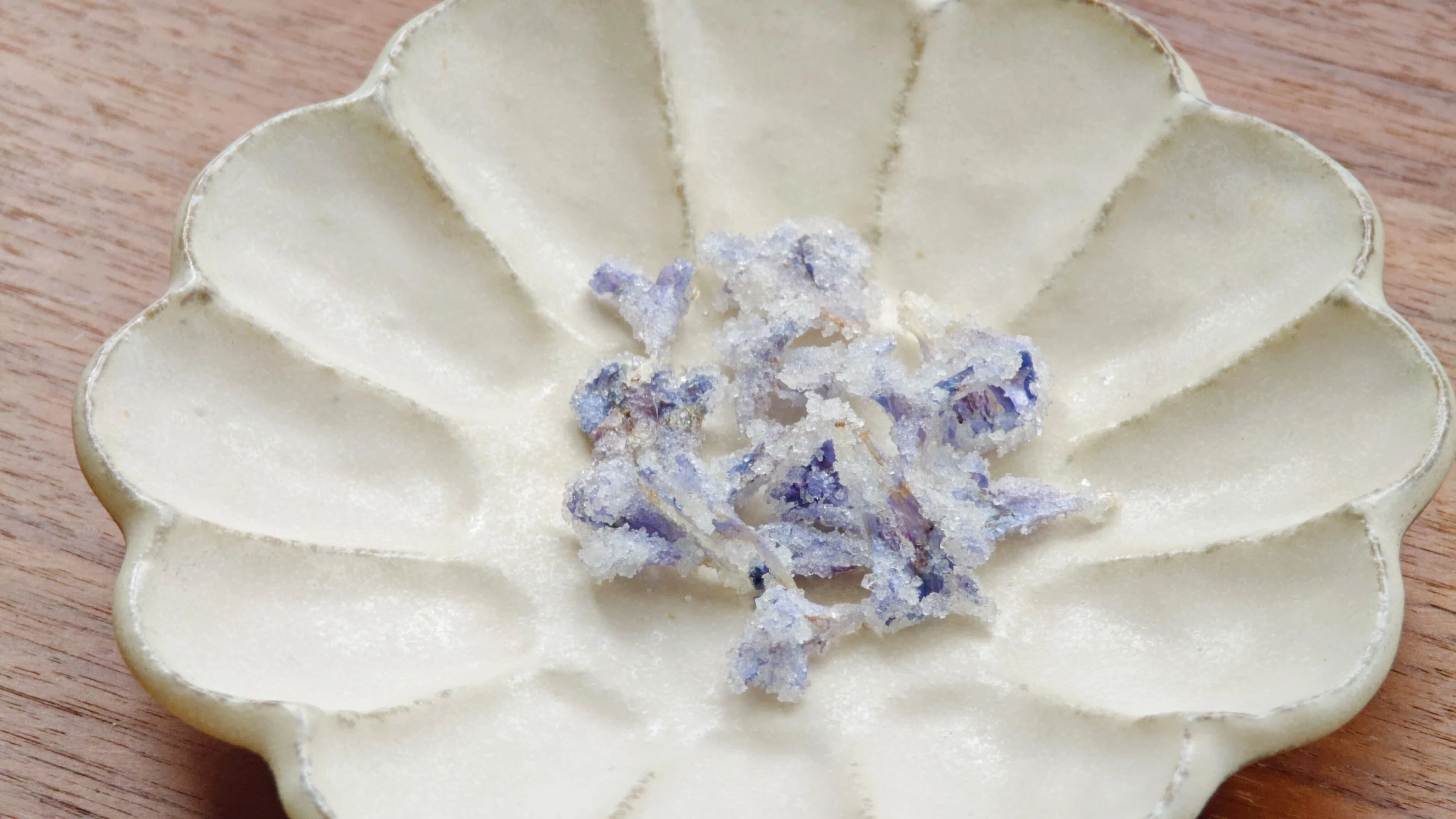 食べれる草 #15 「カキドオシの砂糖漬け」｜わたらい