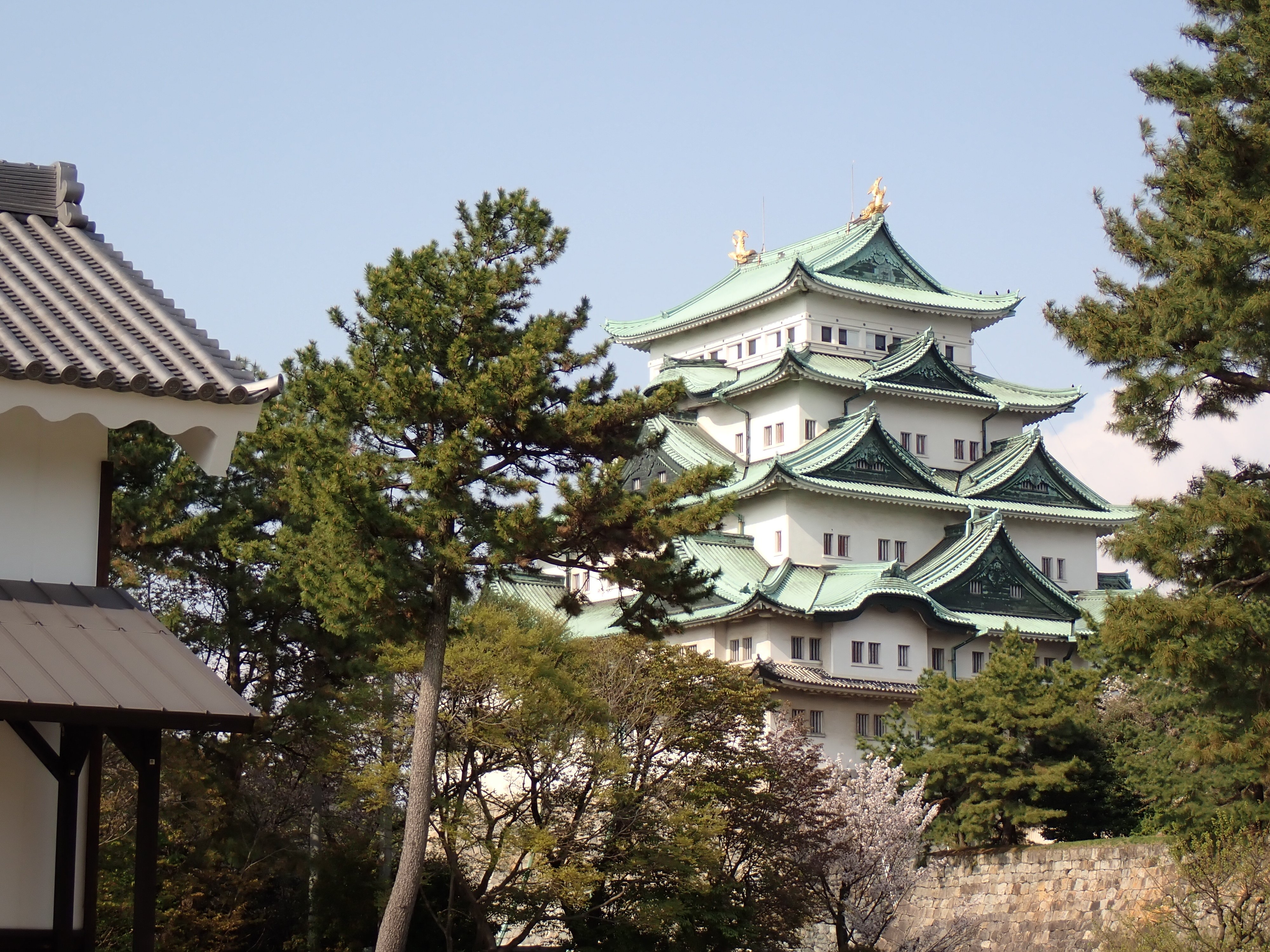 いまさら名古屋城ーおでかけがしたい。㉓ー｜宇佐江みつこ