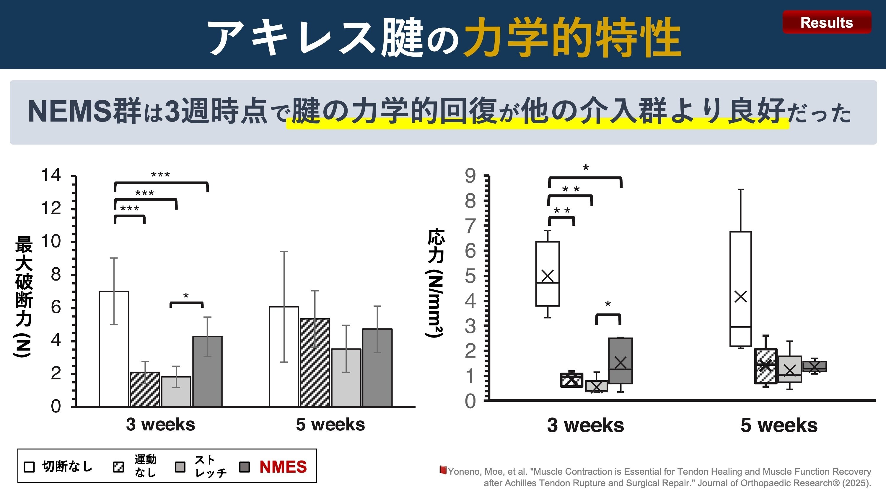 筋肉反射応用治療学 筋肉反射応用治療学 (大型本) 伊東 聖鎬 (著)