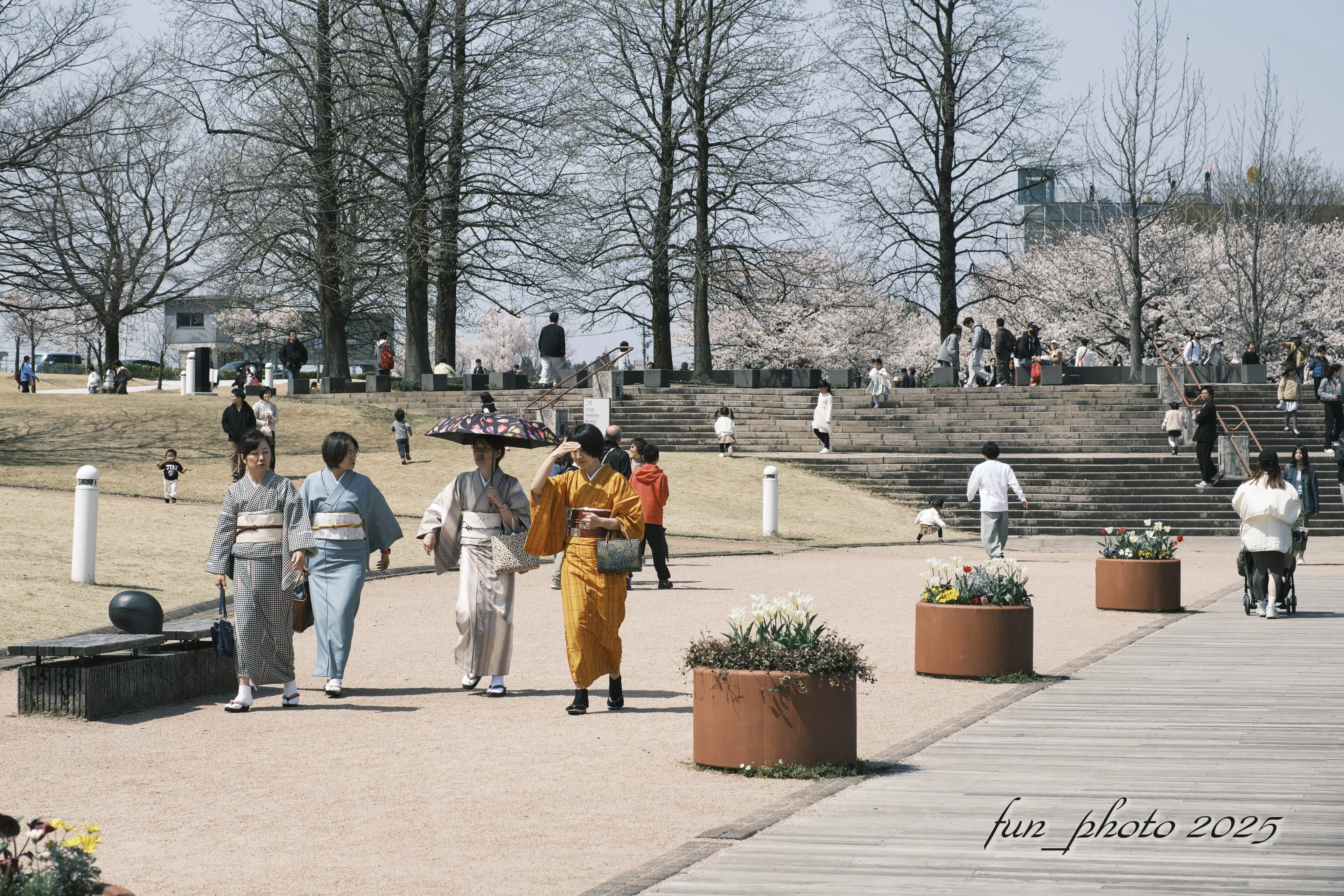 桜とCLASSIC NEGATIVE X-T5｜fun_photo