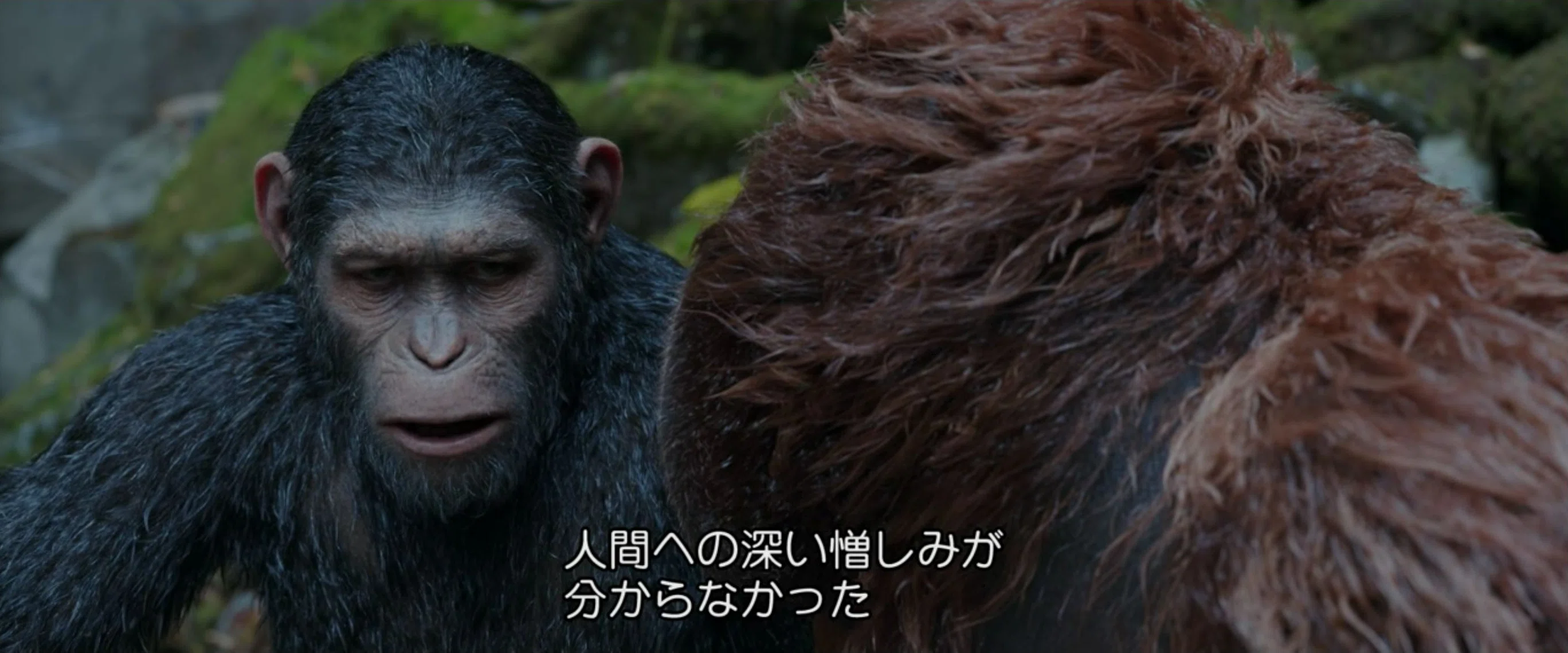 映画感想 猿の惑星3：聖戦記｜とらつぐみ