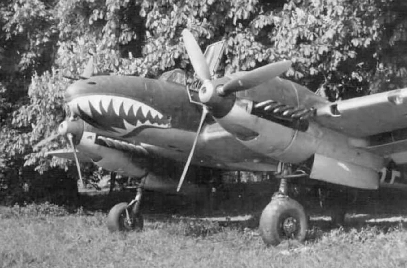 機首にサメ！ノーズアートの歴史など〜その1｜ワンモア@航空エッセイ