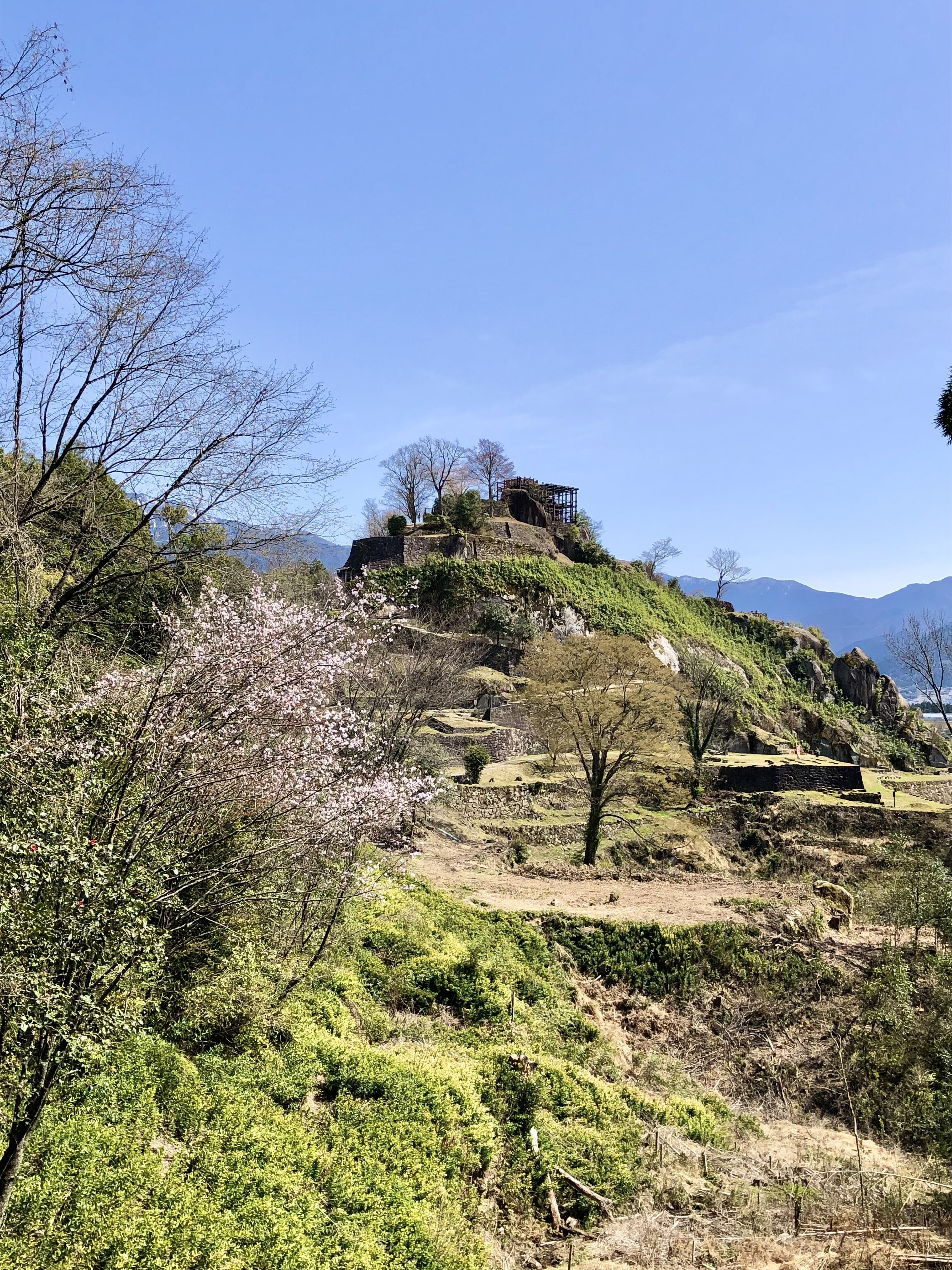 岐阜県の苗木城へ行ってきました。後編｜ぐこ