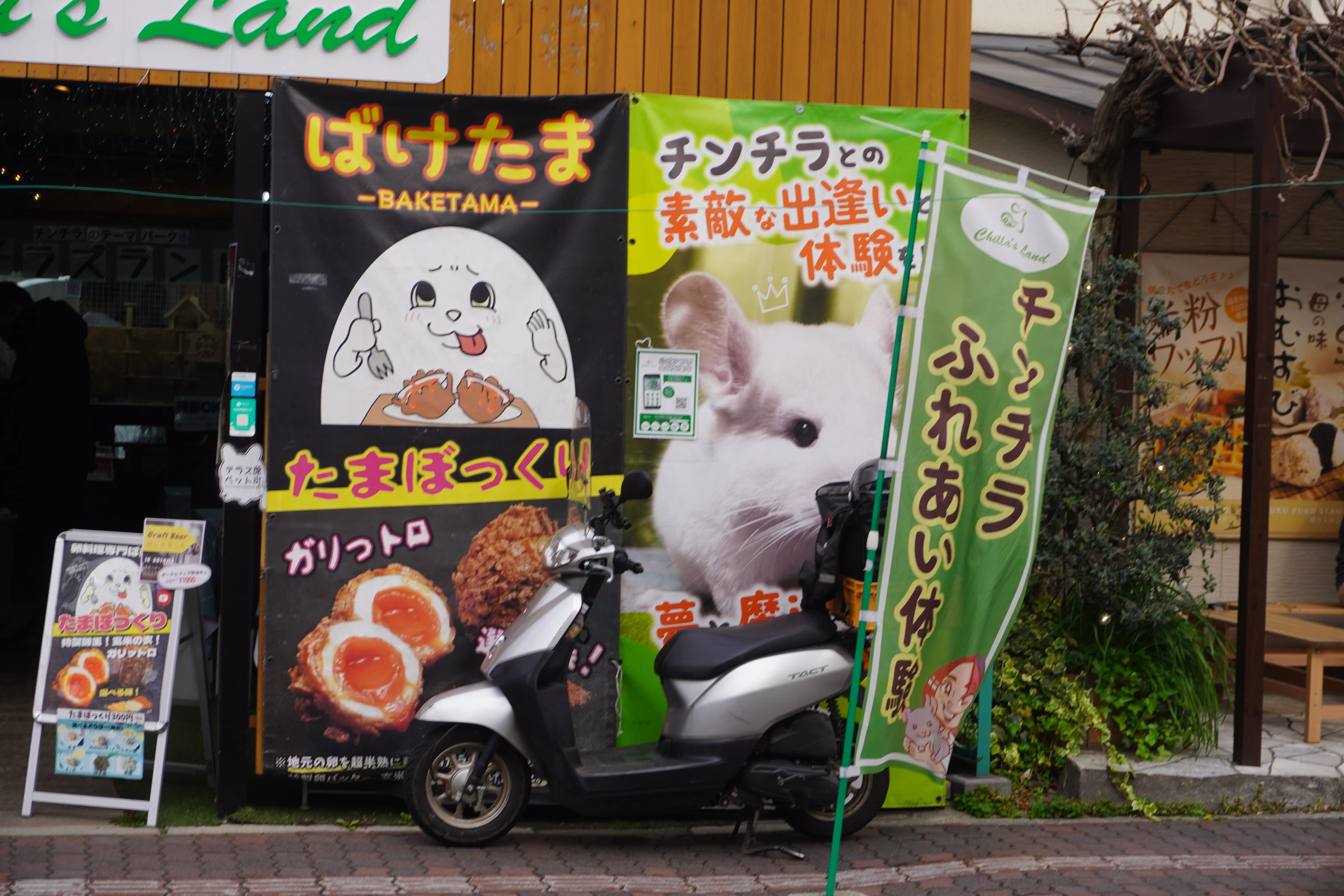 ZASO:259】埼玉県 #チラズランド （#Chilla'sLand）｜ZASOちゃんねる