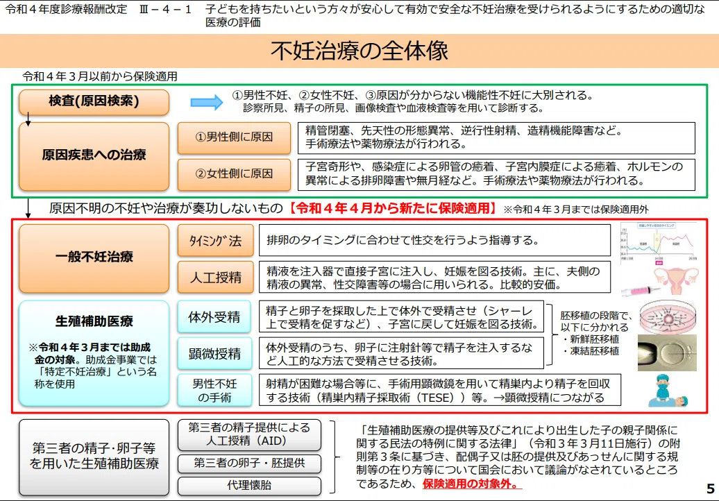 【完全保存版】不妊治療の全体像と専門用語解説【ガイドライン参照】｜はね