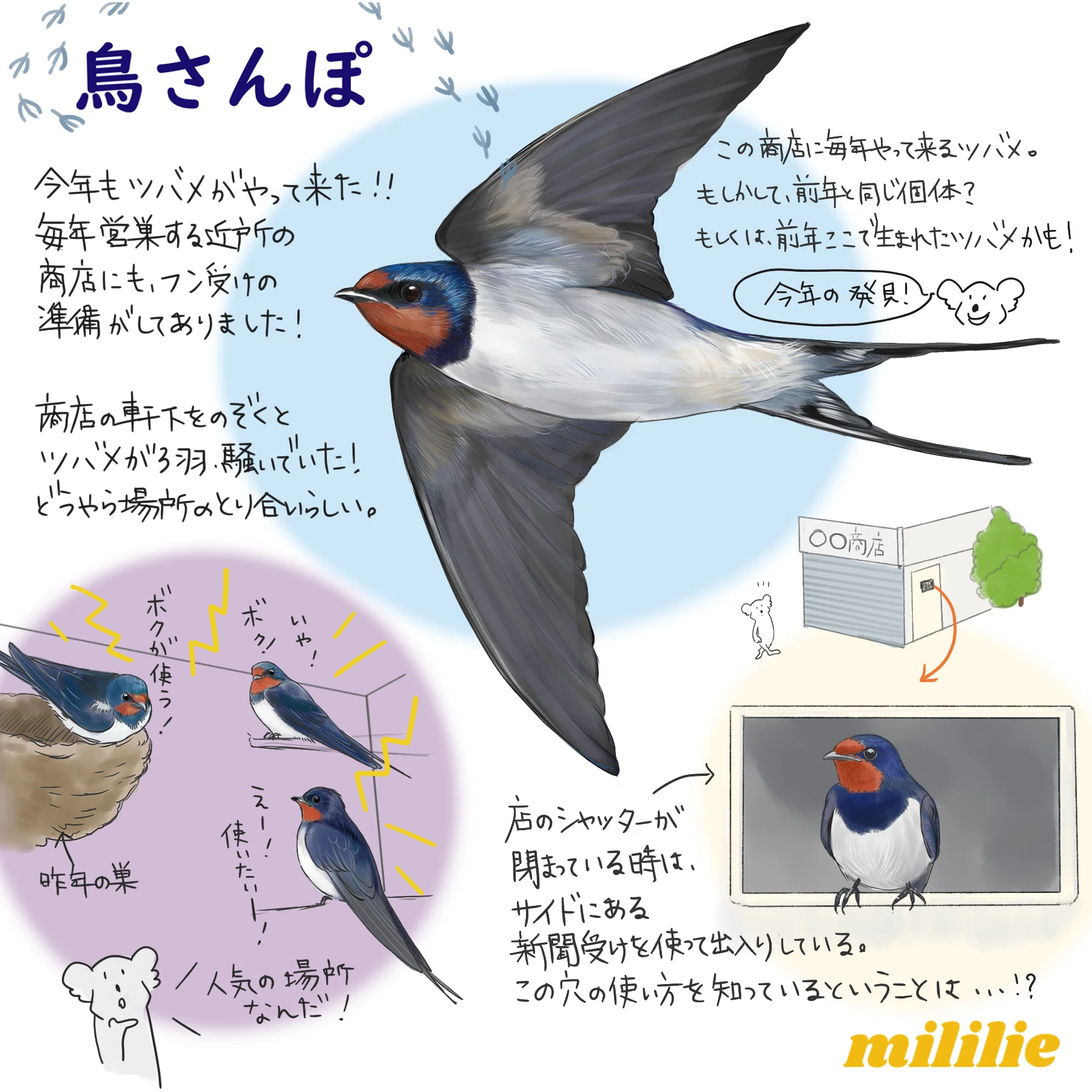 mililieのまなざしでツバメの魅力を再発見｜ブンイチ（文一総合出版）