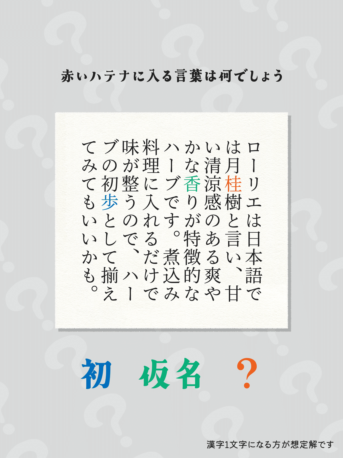 芹沢謎【969】｜芹沢仁菜