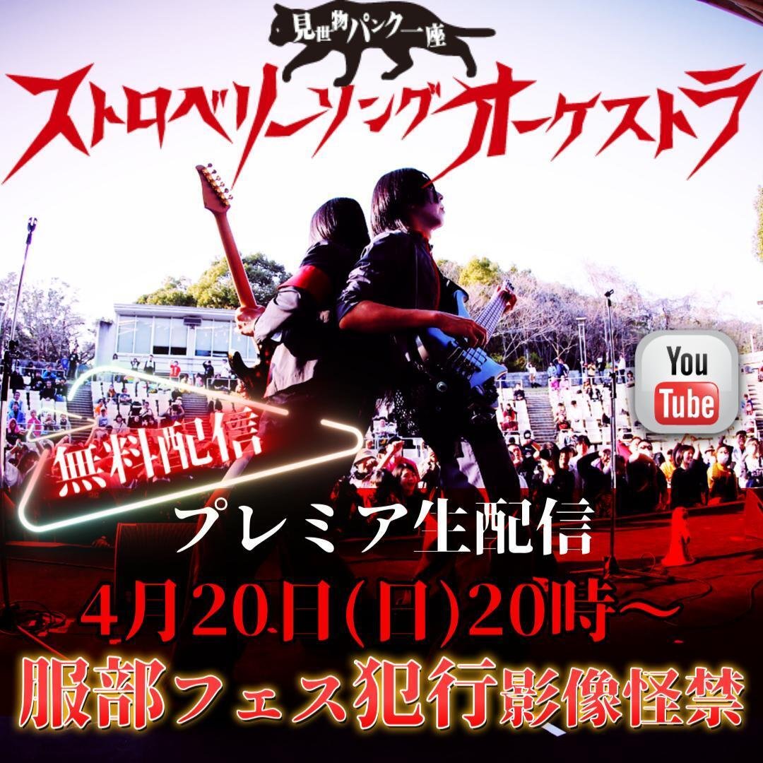 ストロベリーソングオーケストラ DVD 白昼夢 ストロベリーソングオーケストラ DVD 白昼夢