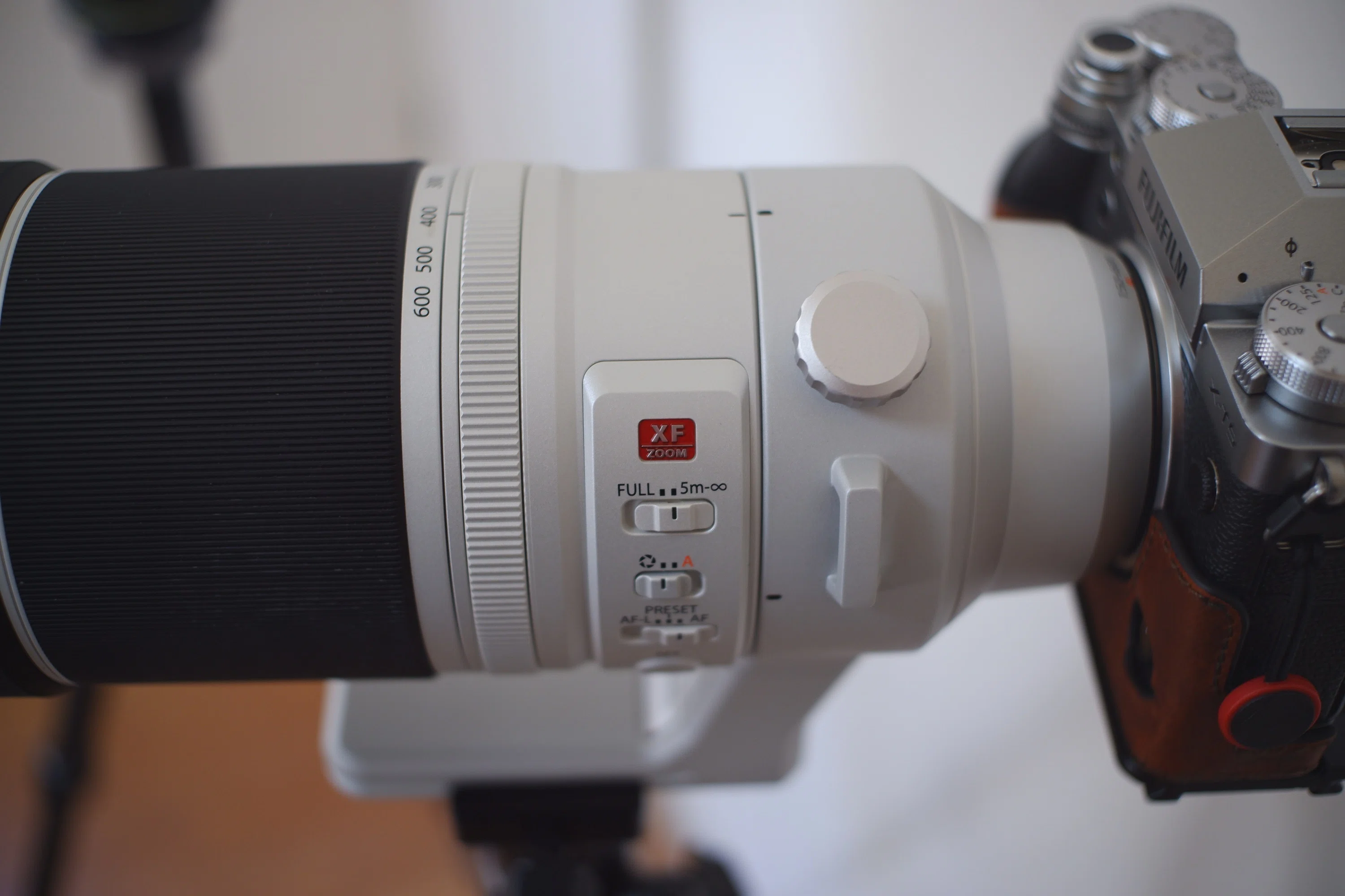 EOS R8とRF 200-800mmで野鳥撮影｜Channel Rihan