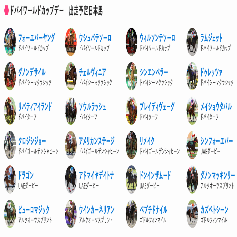 2025ドバイワールドカップ　公式ベスト　非売品　レア　Sサイズ 2025ドバイワールドカップ 公式ベスト 非売品 レア Sサイズ