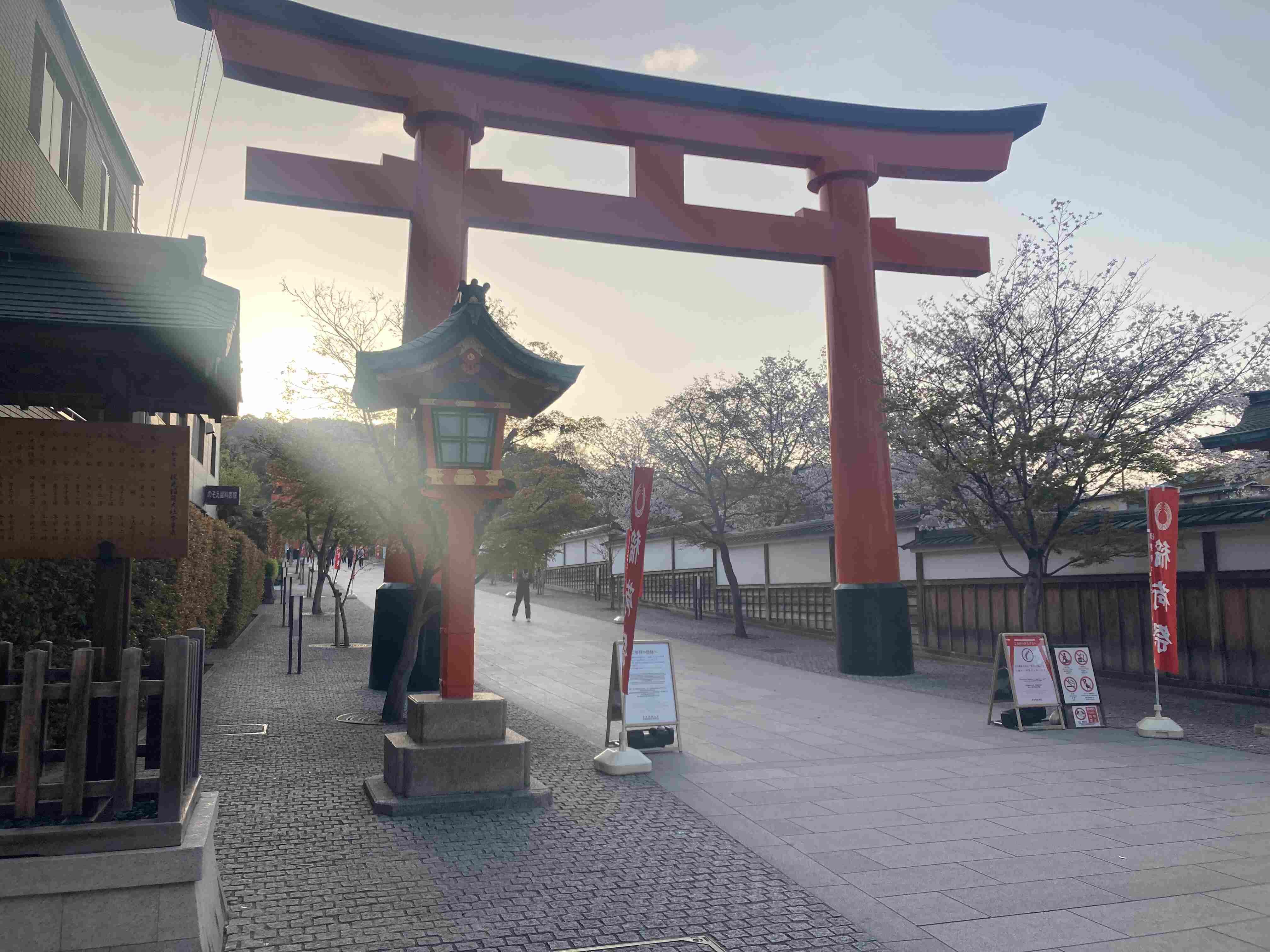 伏見稲荷大社】参拝おすすめコース！桜満開を過ぎても千本鳥居は通年