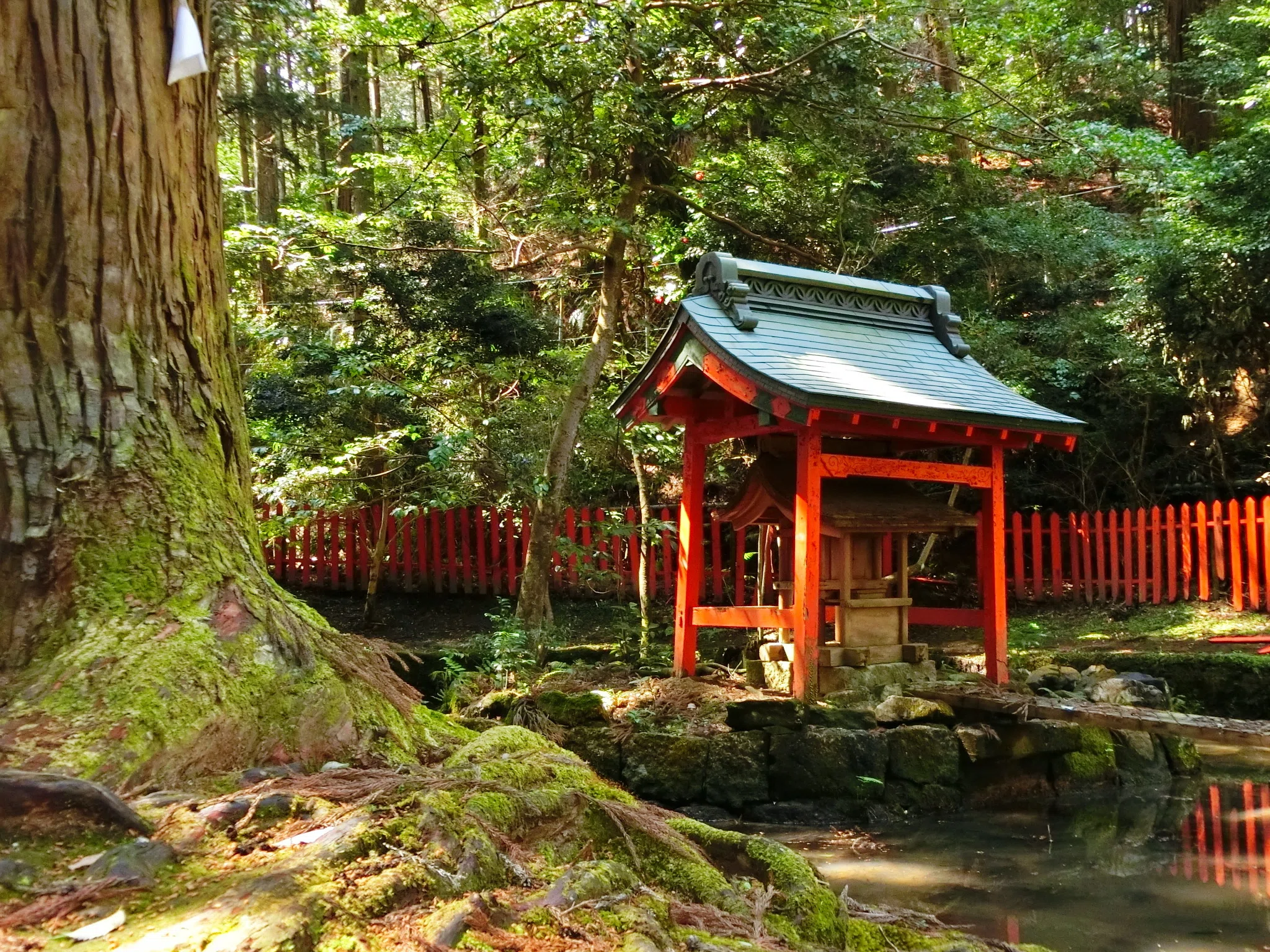 独特の雰囲気と苔「石山寺・八大龍王社」龍王たちが池の中から現れ和尚
