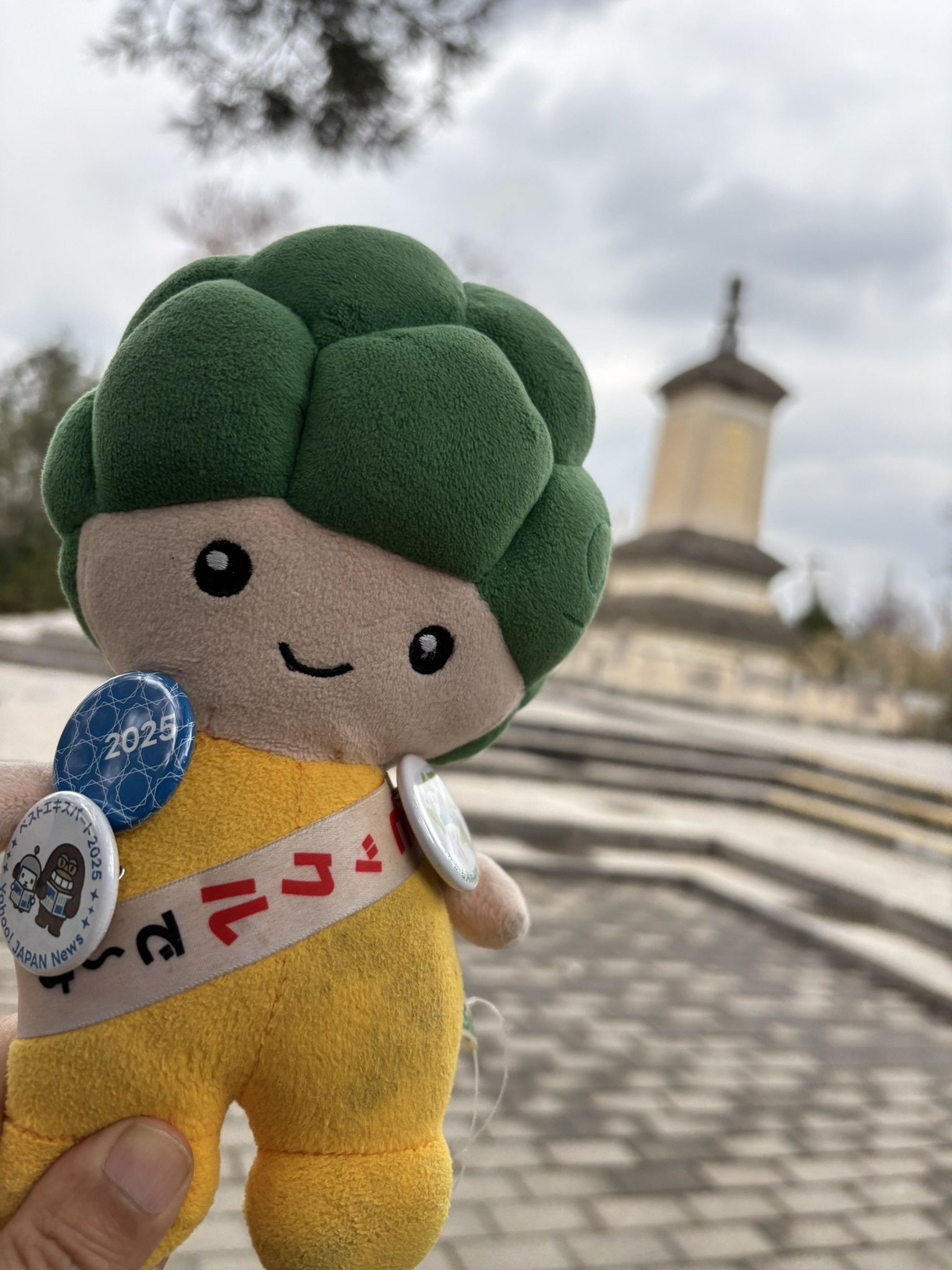 Amazon.co.jp: 郷土中国 (風響社あじあブックス 別巻3) : 費 孝
