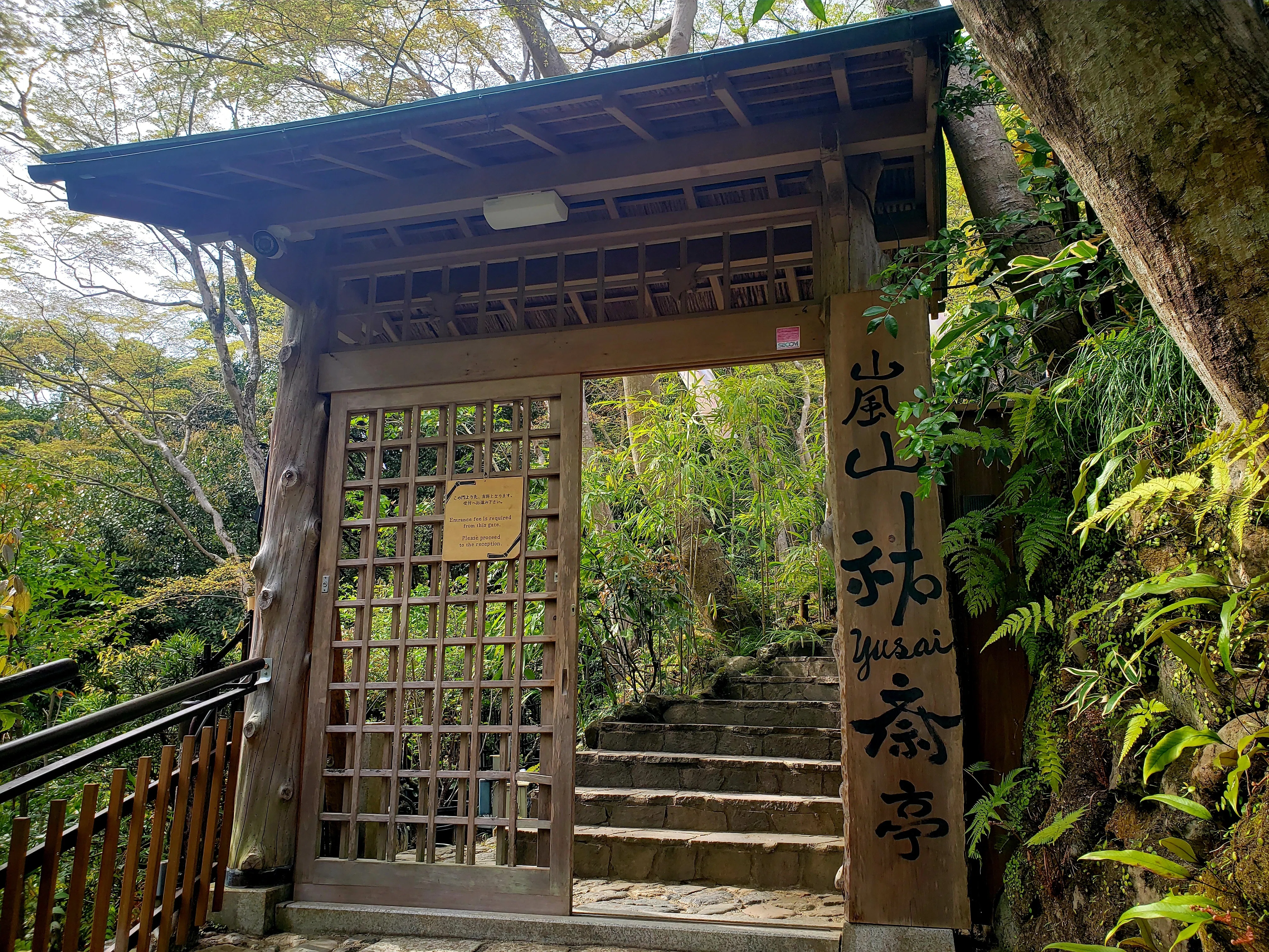 京都へ行こう❣️【306】｜ひばりん